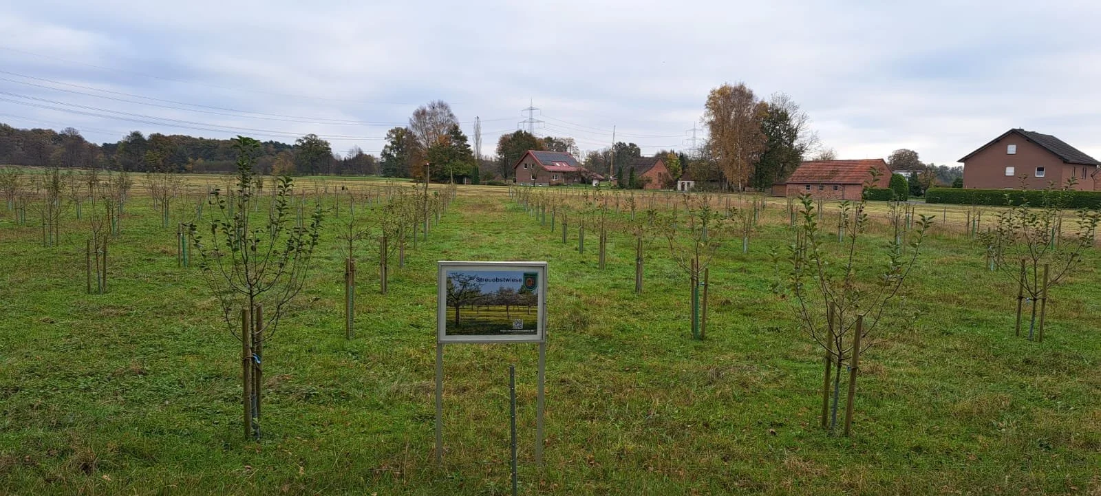 20241109_wanderung_fischteiche_9.jpeg