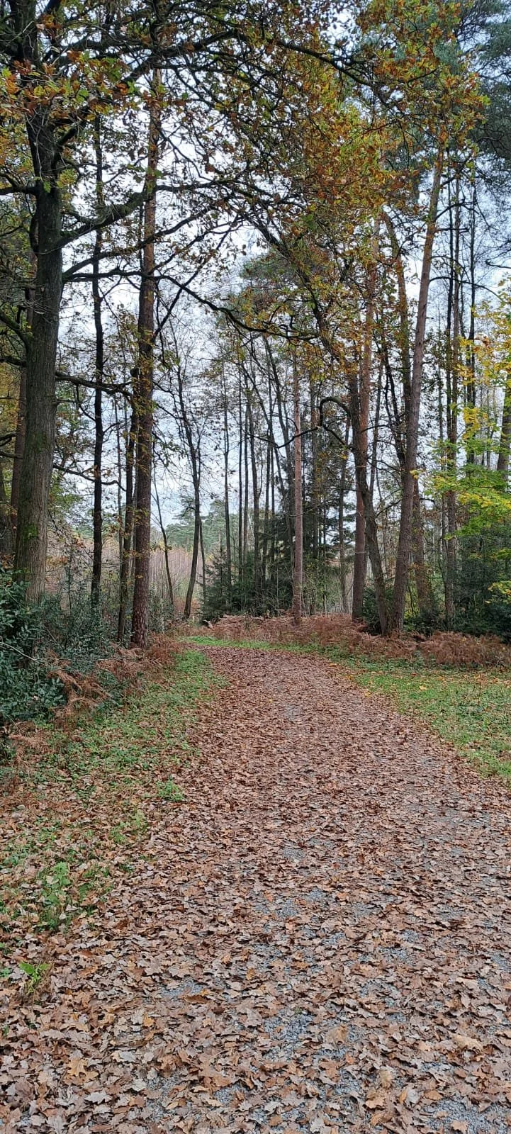 20241109_wanderung_fischteiche_4.jpeg