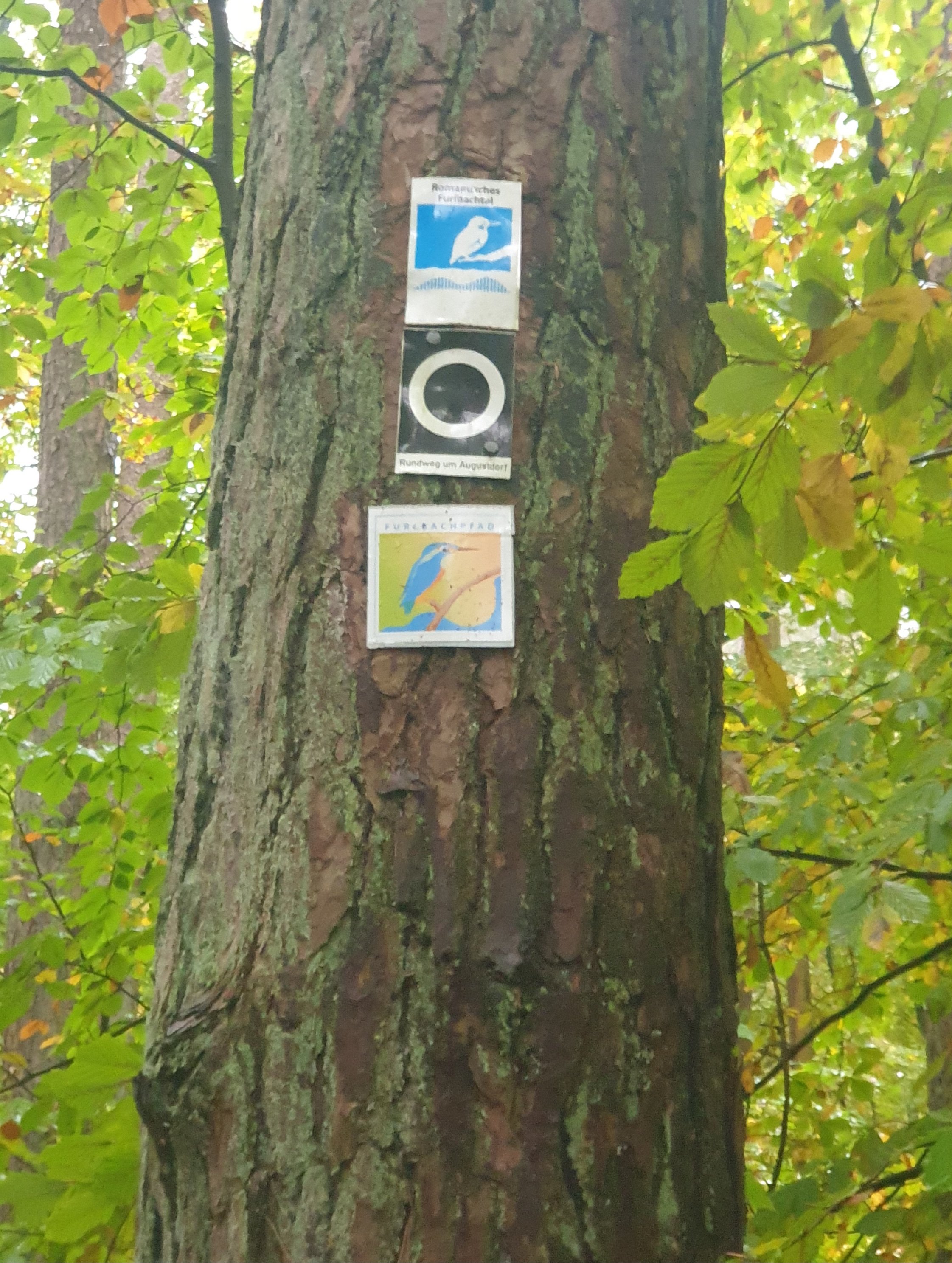 Oberes Furlbachtal (35).jpg