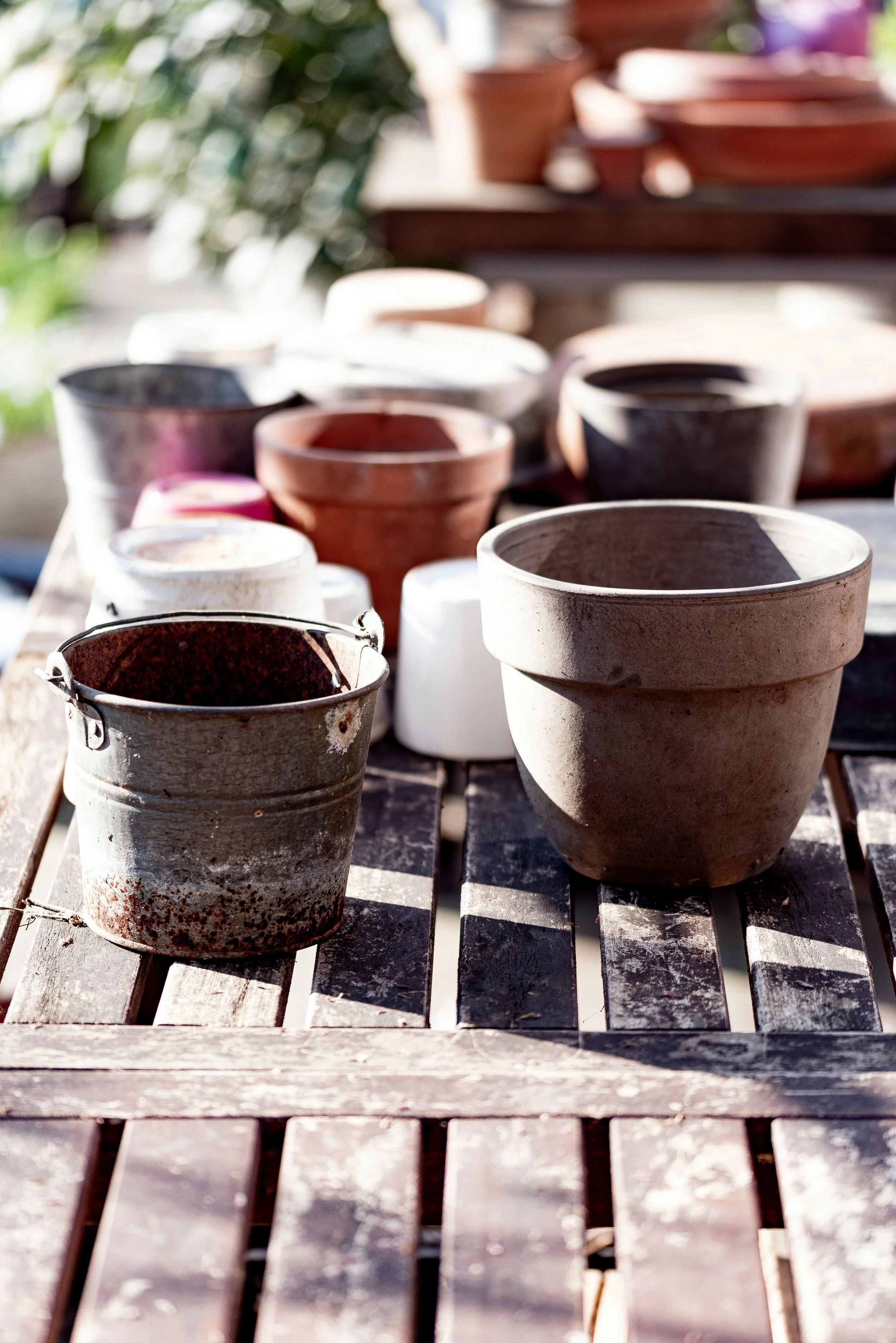 Outdoor Arrangements