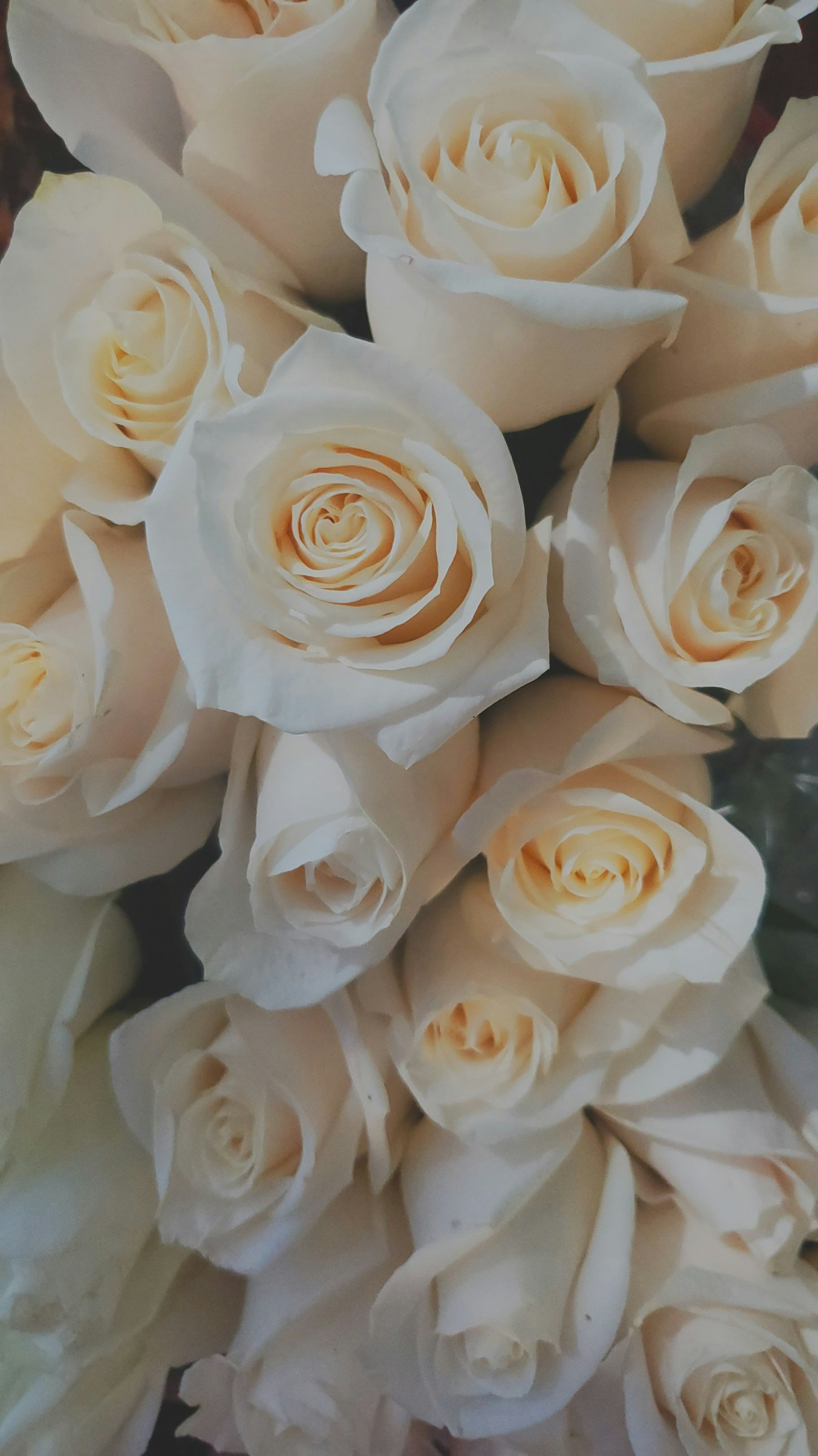 Bouquet - Specialty