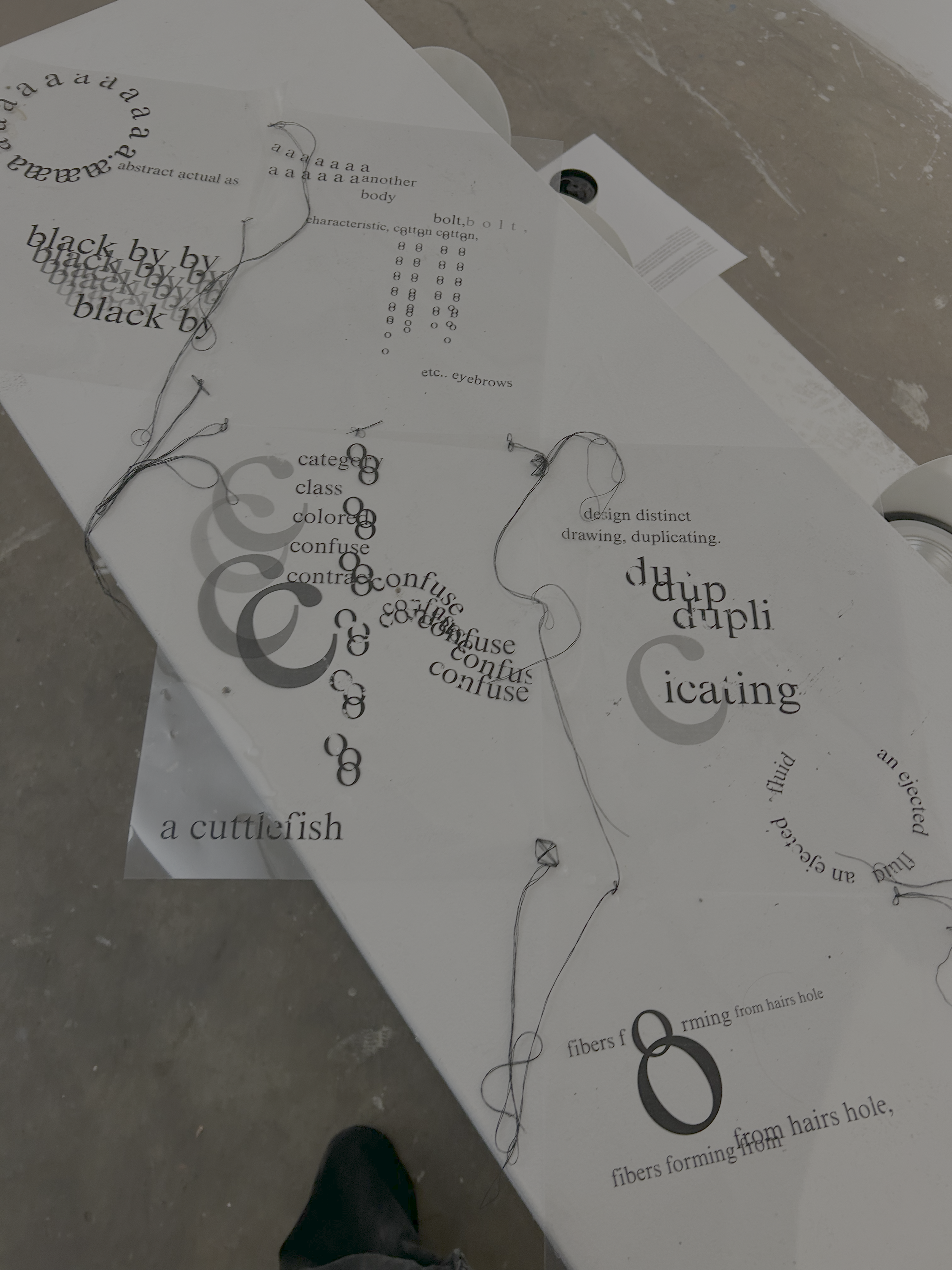 Artist’s Book