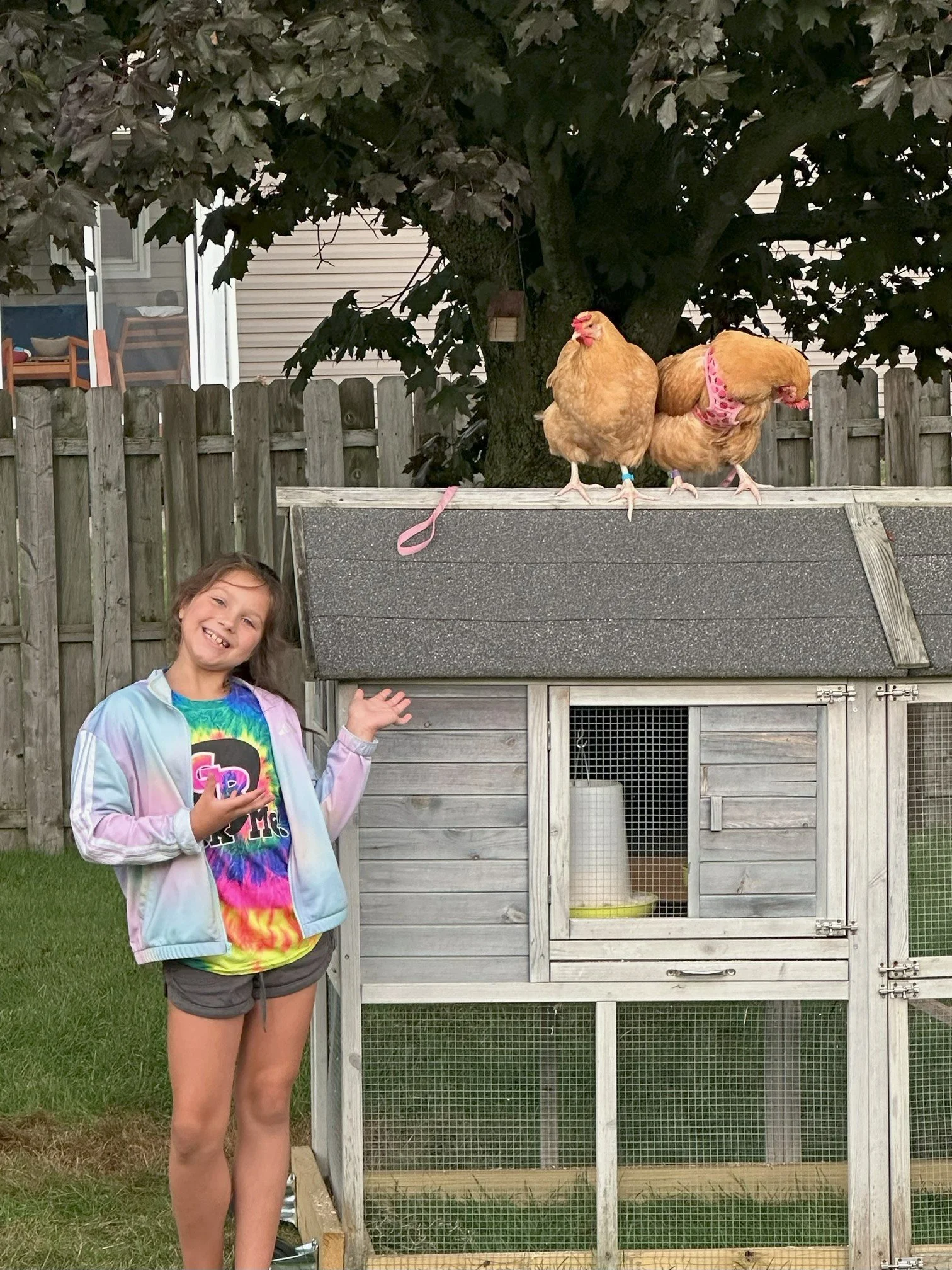 ReCoop Hen Rentals
