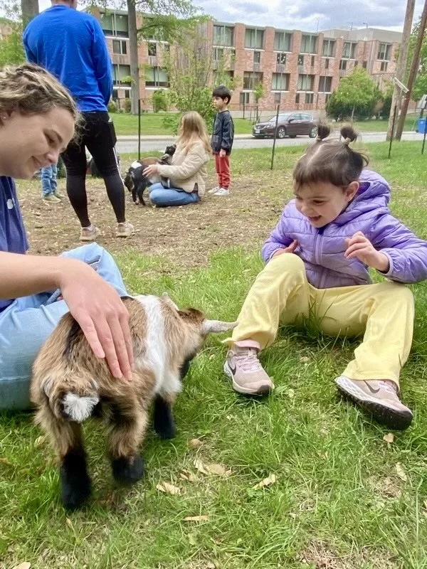 A woman and a little girl playing with a baby goat in a park. The girl is laughing while the woman is petting the goat. Other children are in the background, one sitting on the ground and another standing. Trees, grass, and a building are visible in the background.