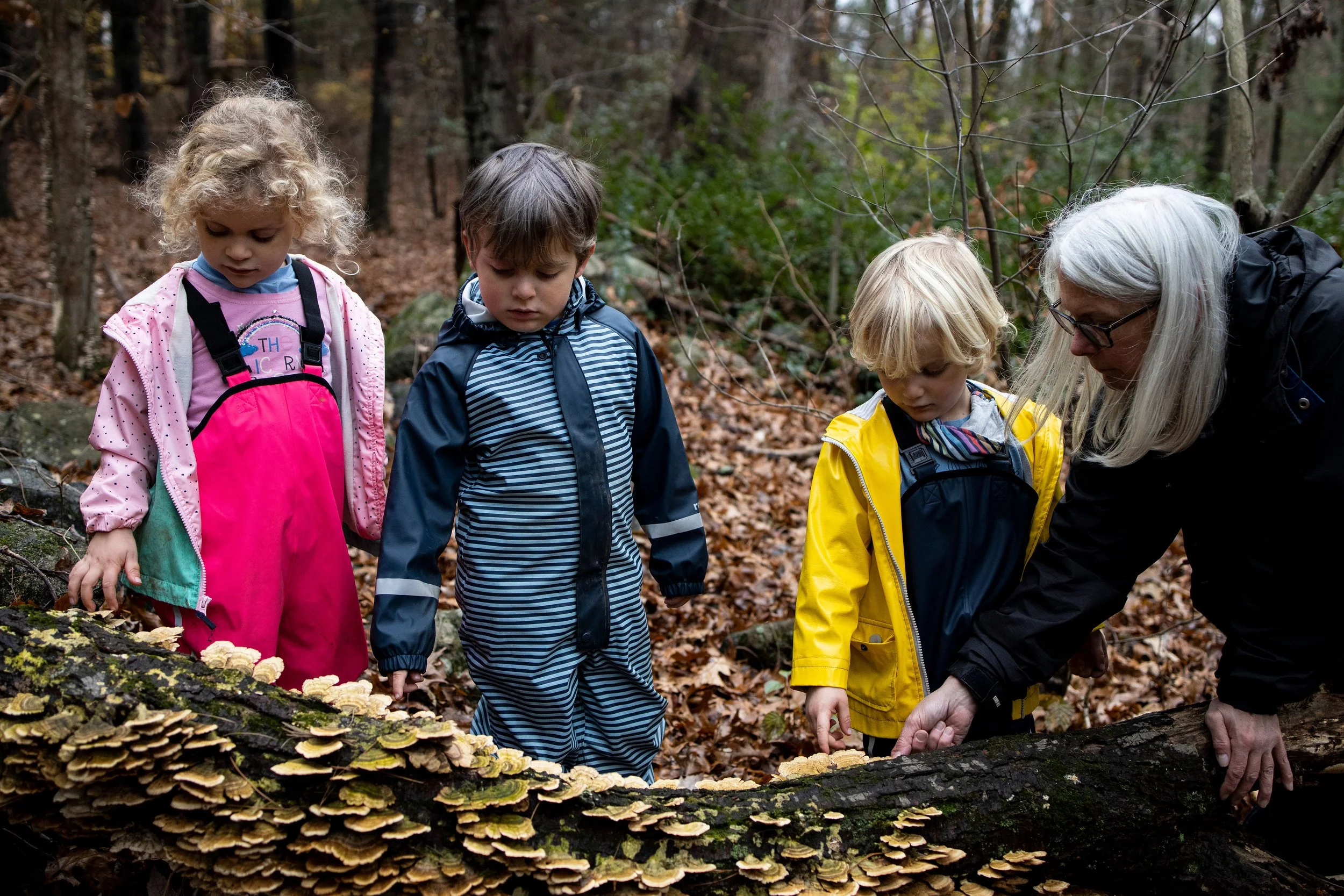 An adult woman with three young children in a forest examining a fallen log covered in mushrooms.