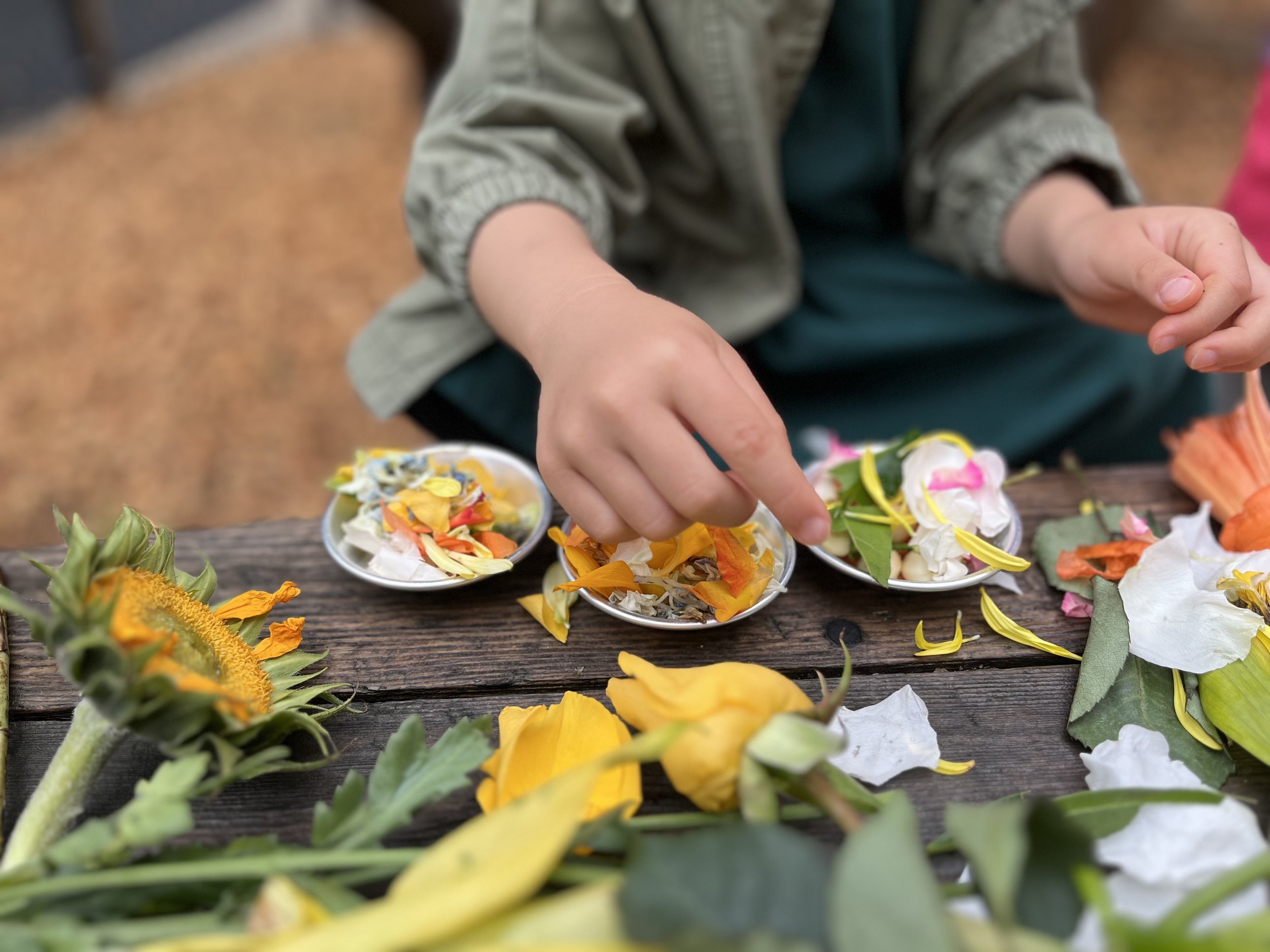 Child's hands placing flower petals into small bowls on a wooden table, surrounded by colorful flower petals and blossoms.