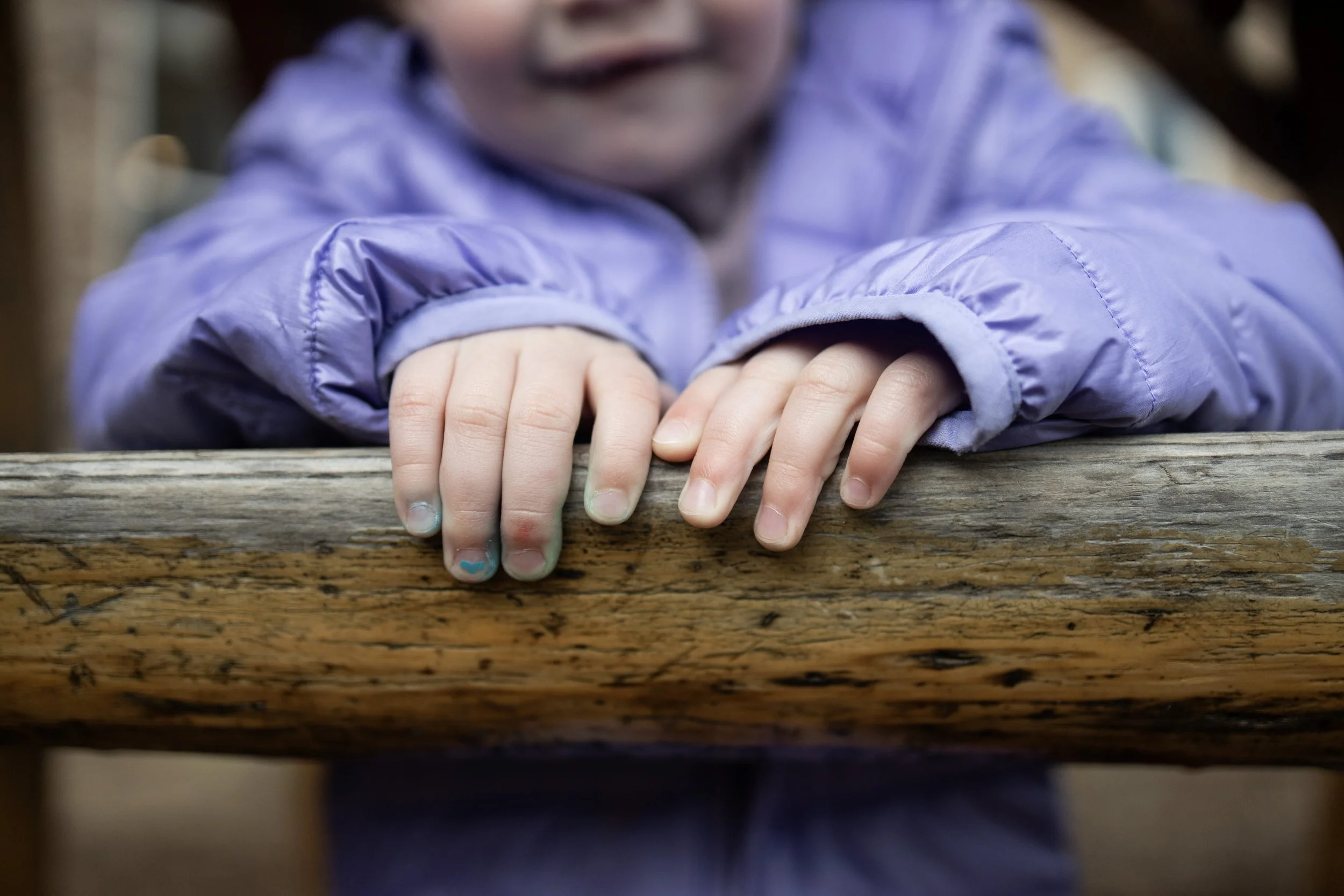 Close-up of a child's hands gripping a weathered wooden railing, wearing a purple jacket.