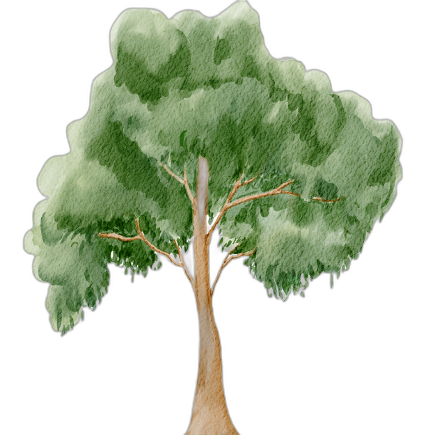 A watercolor painting of a tall green tree with a brown trunk and leafy canopy against a black background.