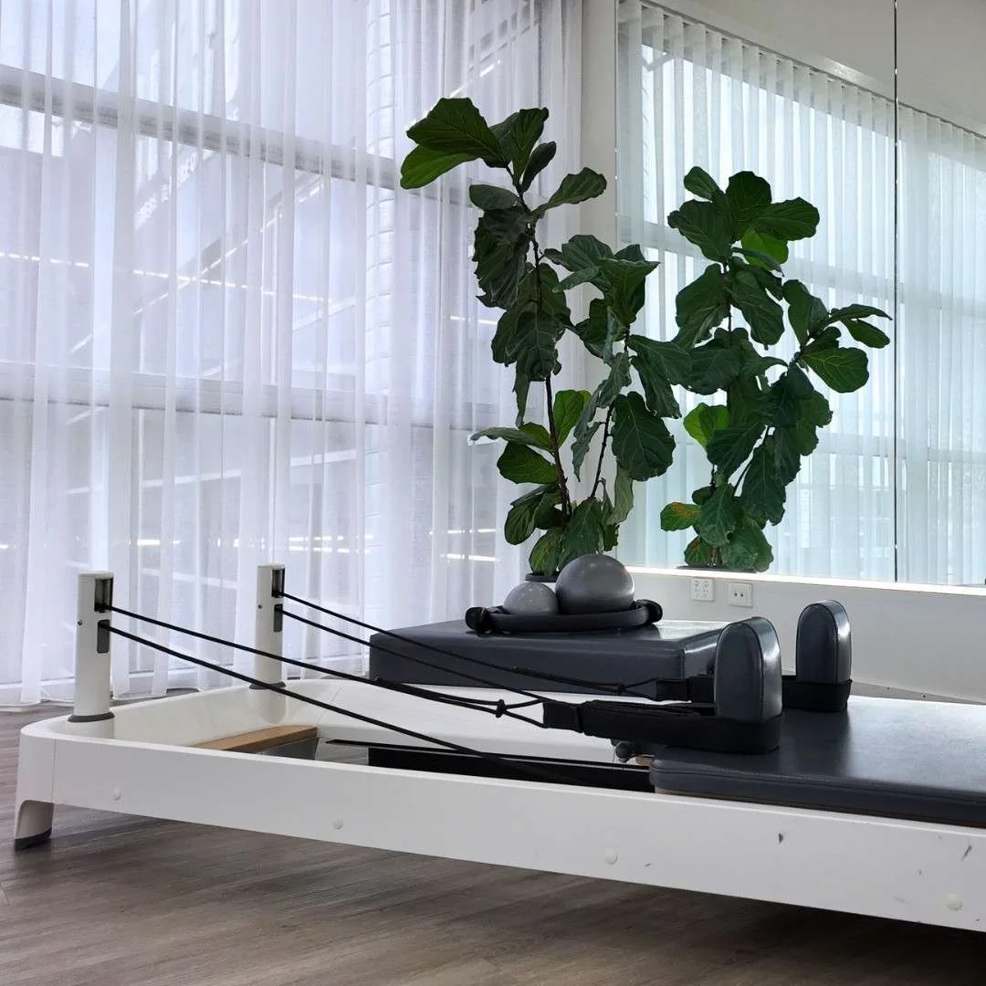 A Pilates reformer machine with a large potted plant behind it, set in a bright room with sheer white curtains and natural light.