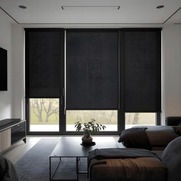 Modern living room with large floor-to-ceiling windows covered by black roller shades, a coffee table with a plant, a TV stand, and a sofa.
