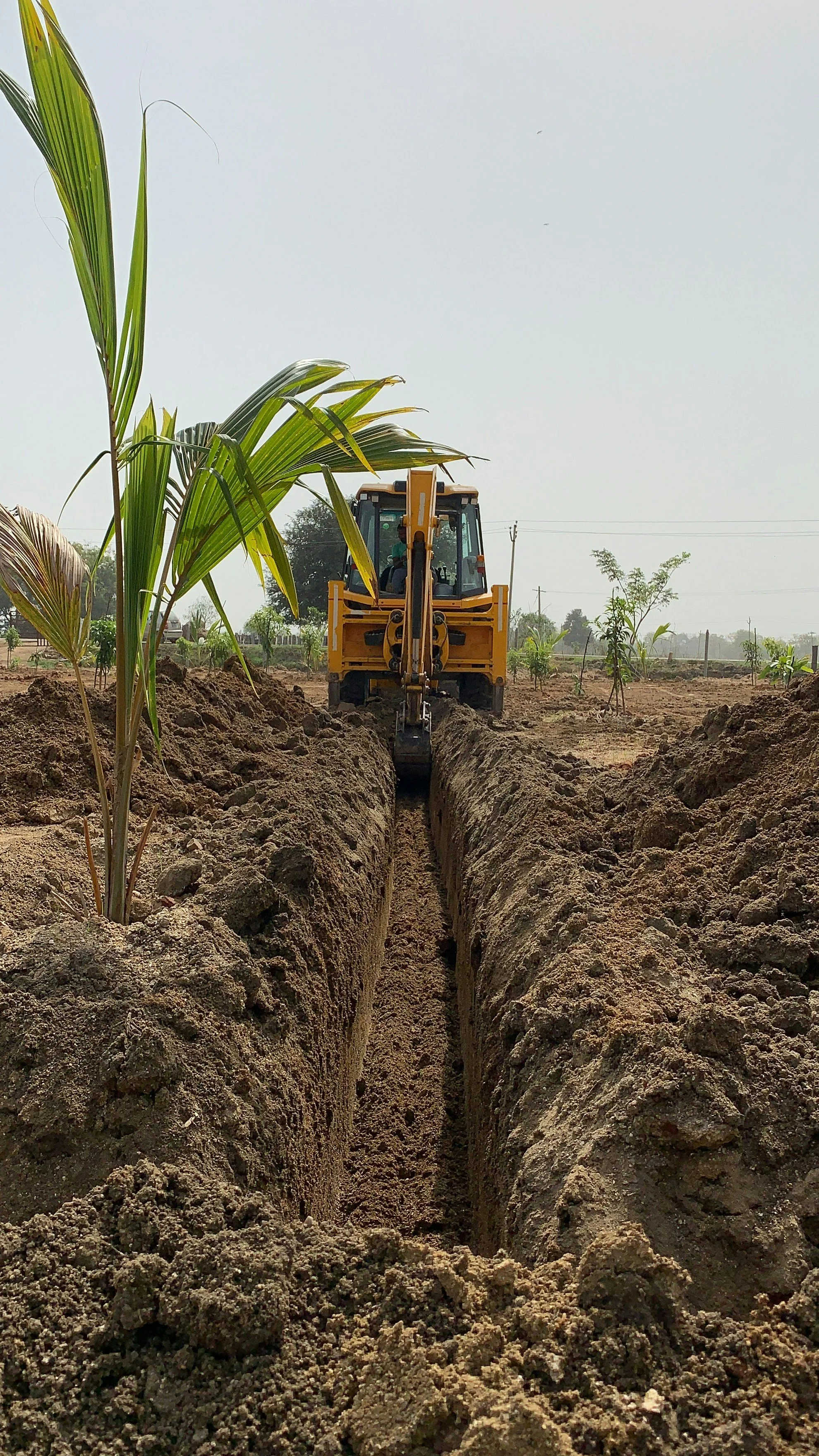 A yellow backhoe excavator digging a long trench in dry soil in a rural area with small plants and trees in the background.