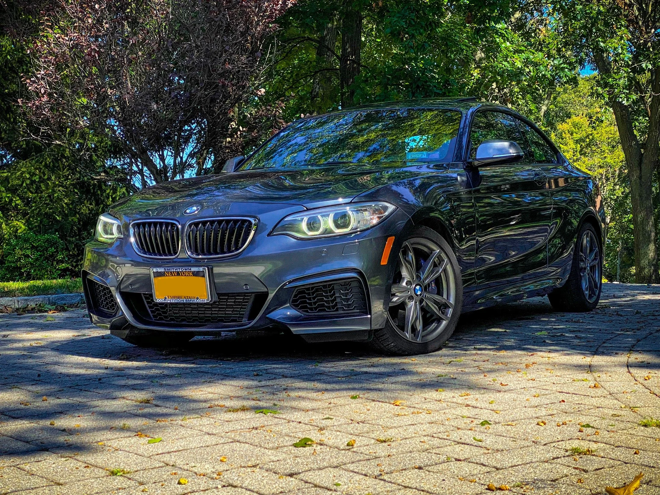 A black BMW parked on a paved area surrounded by green trees and bushes with sunlight filtering through the leaves.