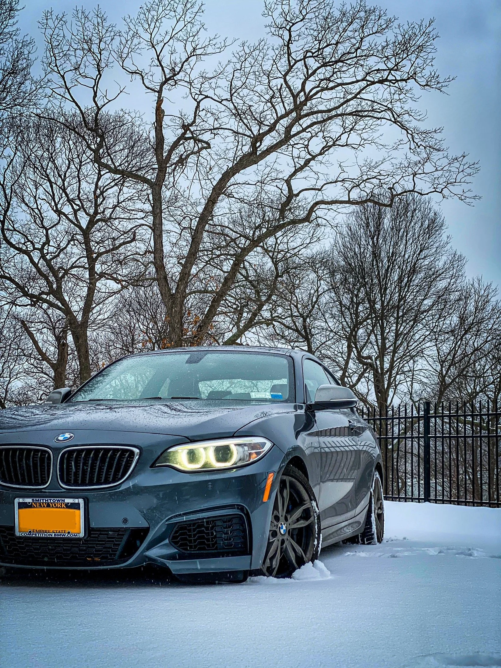 A gray BMW car parked on snow-covered ground with leafless trees in the background under a cloudy sky.