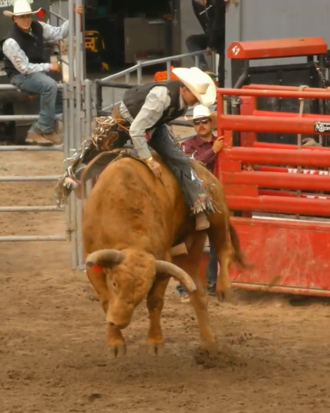 Services — Bleu Ranch Média