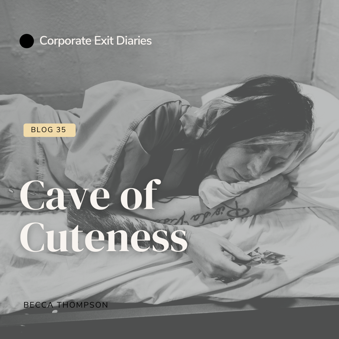 Cave of Cuteness