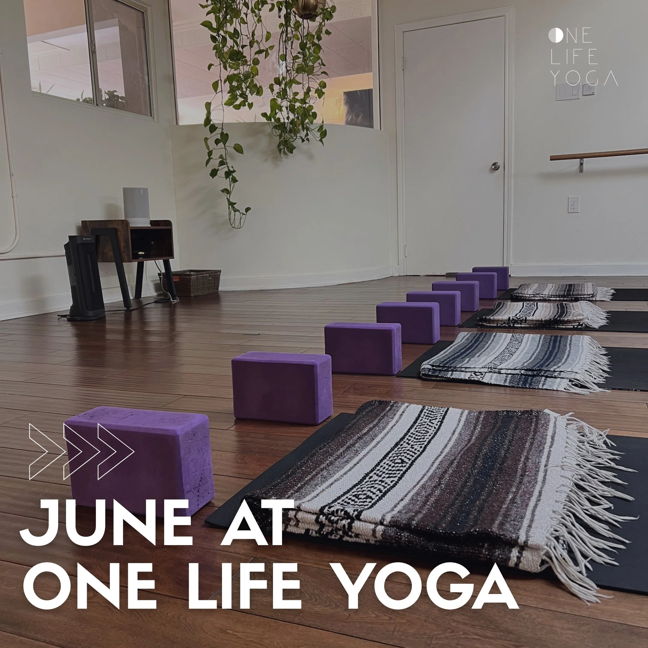 As we step into summer, June invites us to embrace the energy of the season: vibrant, expansive, and alive. 🌞 We've got exciting things coming up at the studio this month:

🐚 New Moon Sound Bath with Nicole Aquino &amp; Monk Turner
🐚 Tea &amp; Chi