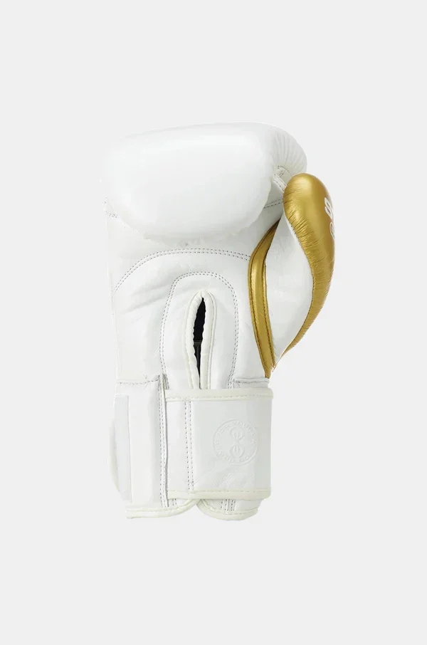 EvolutionVelcroBoxingGloves_3_600x_87c2c43a-66a8-4a0c-8994-530187d99fa7.webp
