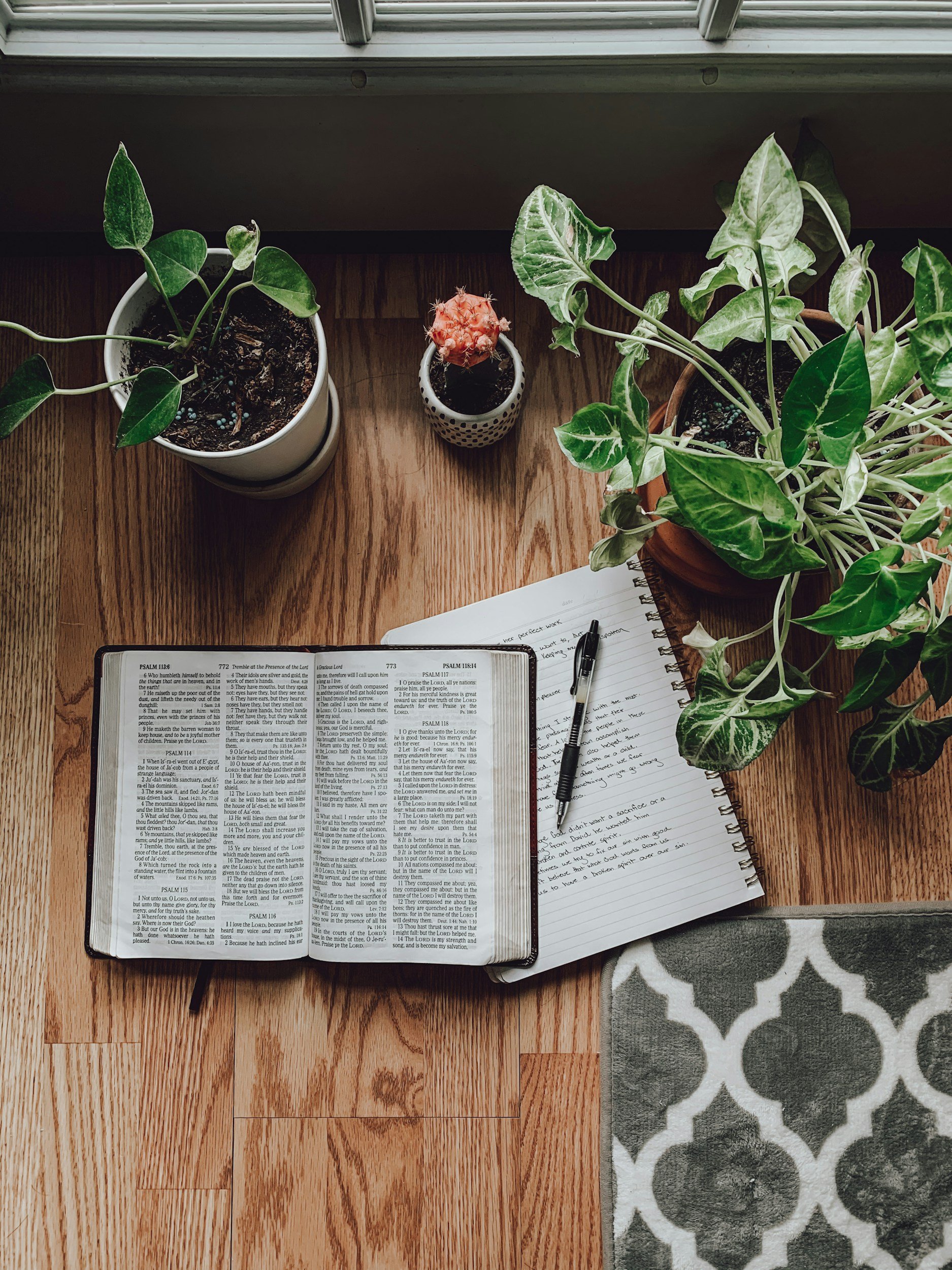 Open Bible on a wooden table with handwritten notes and a pen, potted plants nearby, curtain and window above with sunlight.