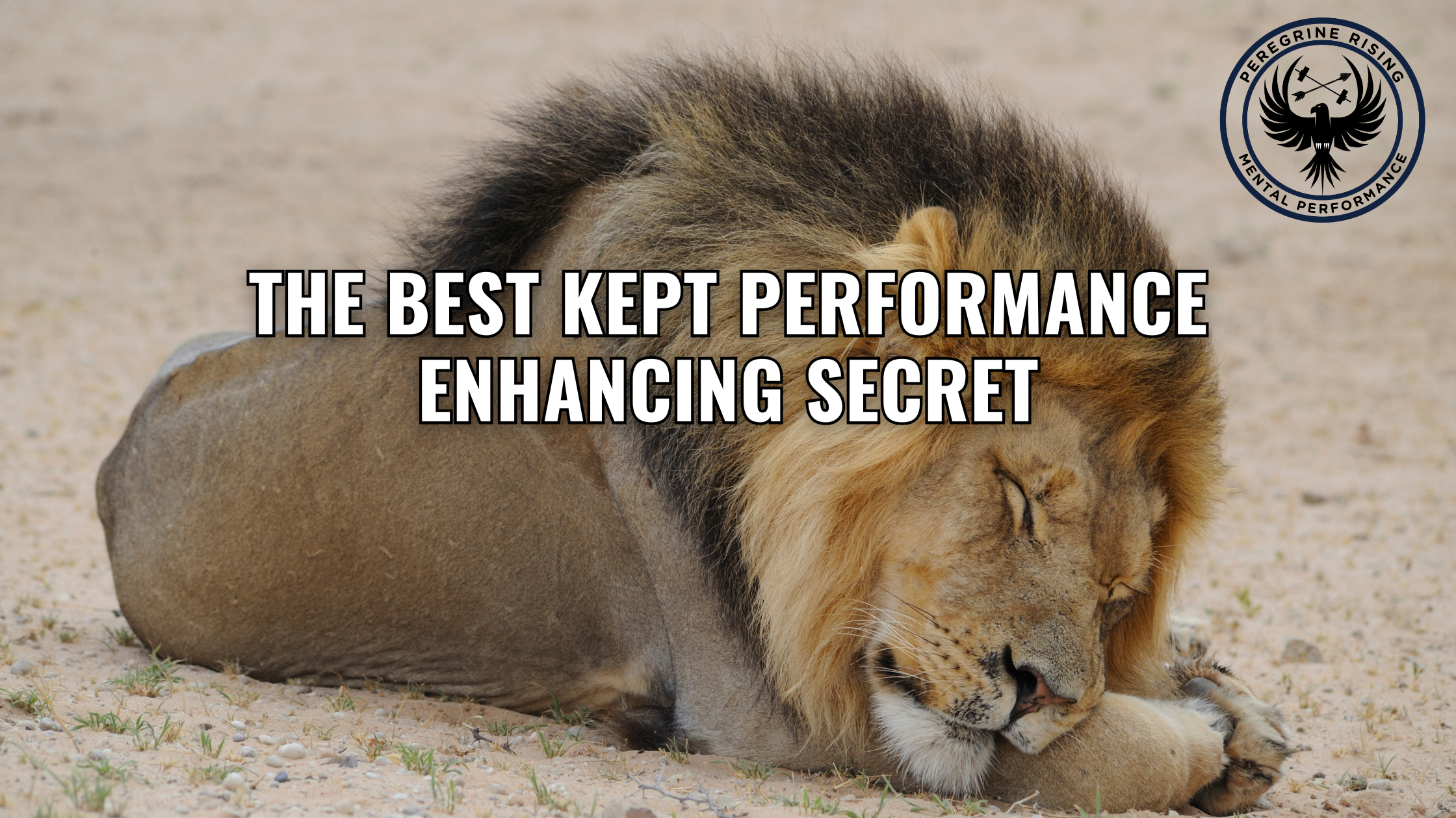 The Best Kept Performance Enhancing Secret