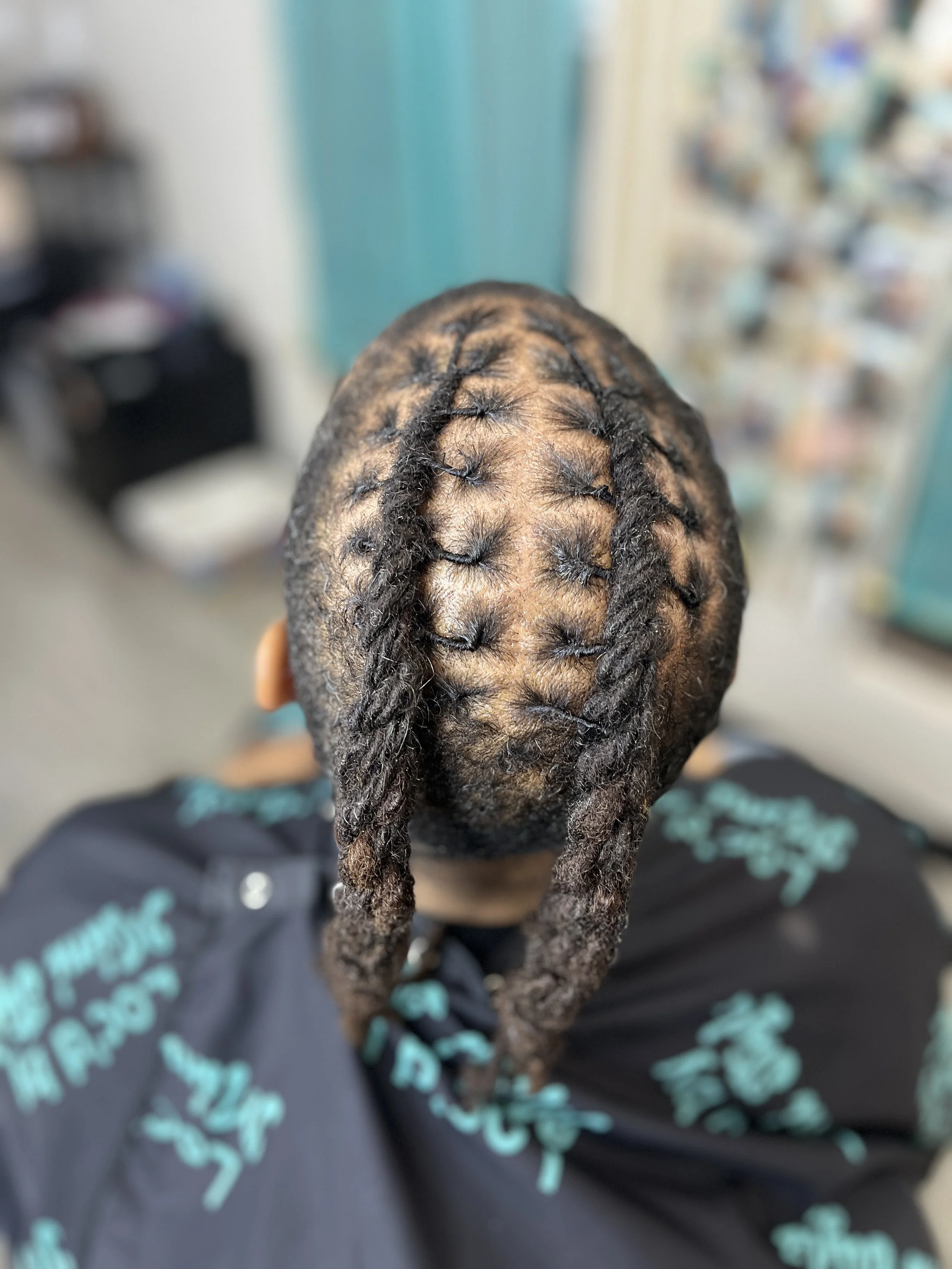 Close-up view of a person's head with neatly styled, twisted dreadlocks.