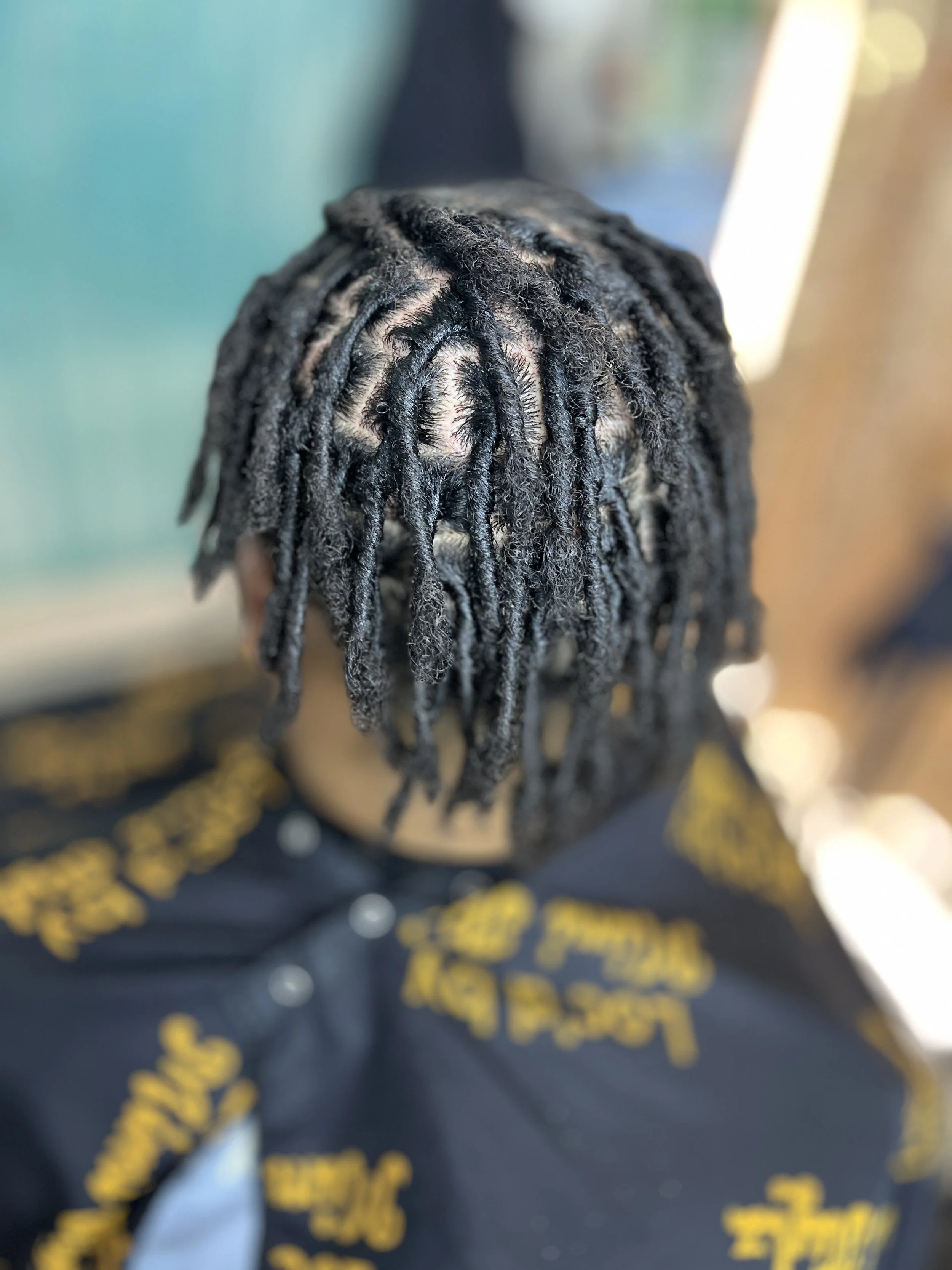 Close-up of a person's head with long, black dreadlocks.