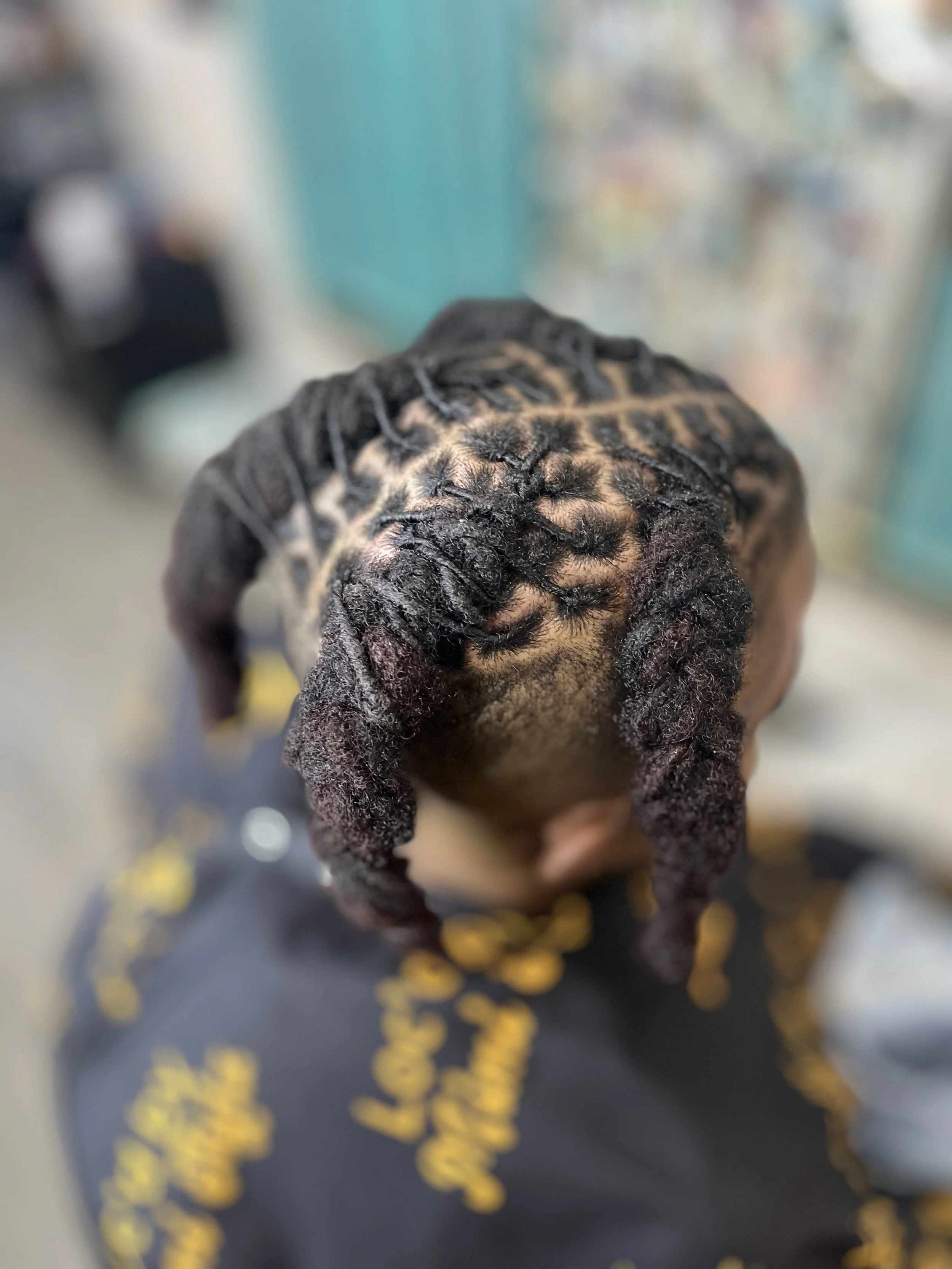 Close-up of a person's head showing their braided hair with highlights, set against a blurred background with pigeon feathers and yellow seeds on a dark surface.
