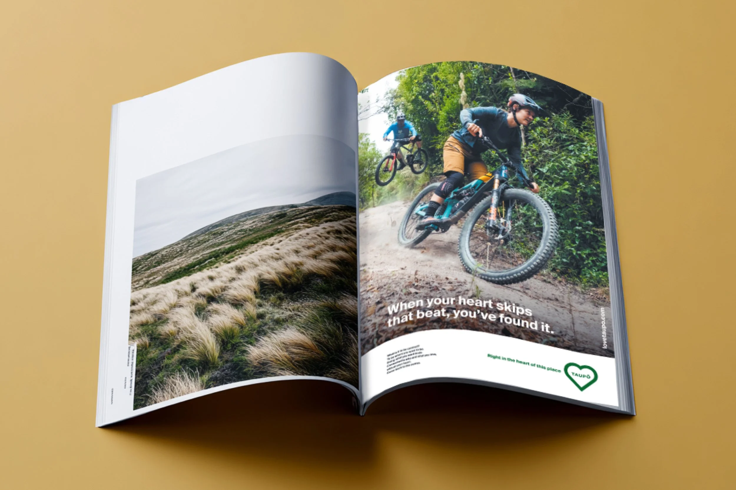 LT Right in the heart Work Case5.jpg