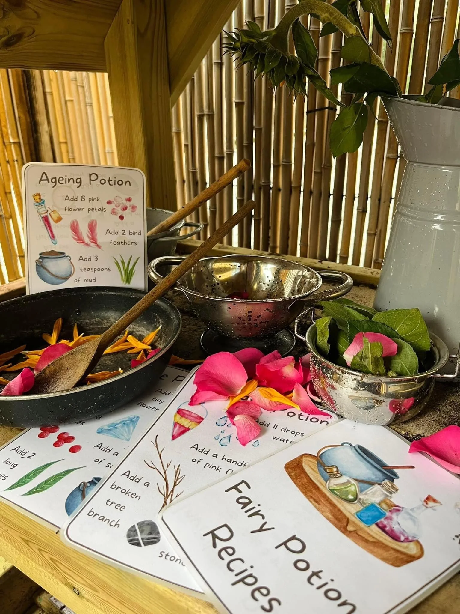 A craft station for making aging potions with flower petals, bird feathers, and mud, featuring colorful illustrated recipe cards, flower petals, and small metal bowls on a wooden surface with a bamboo fence background.