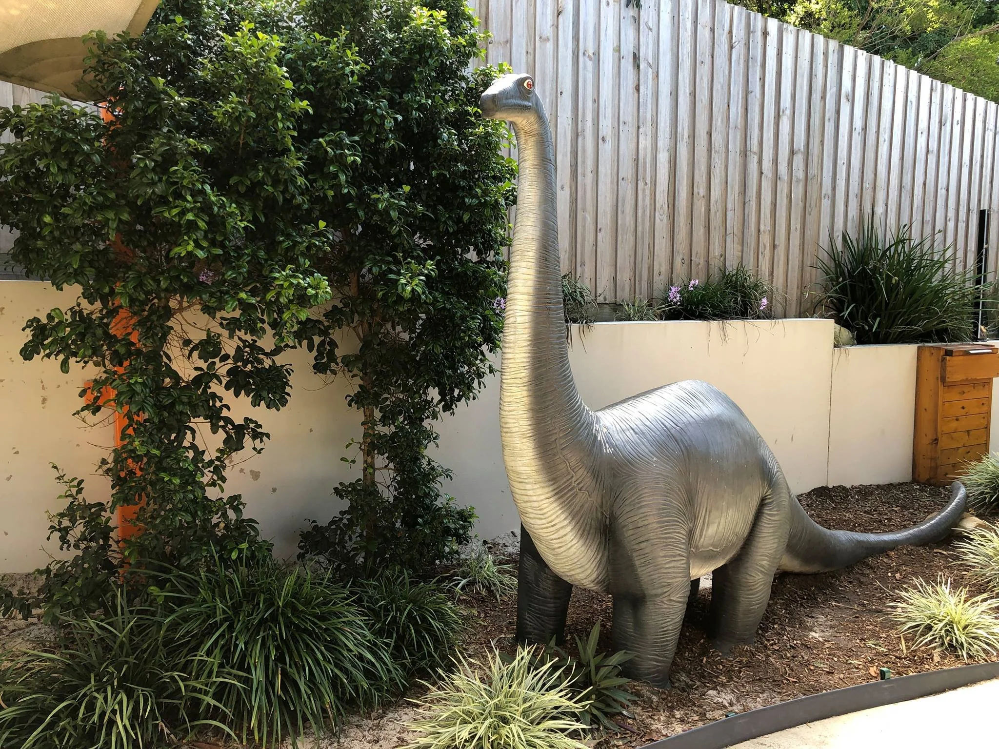 A large dinosaur sculpture resembling a Brachiosaurus with a long neck and tail, situated outdoors among greenery and plants, with a wooden fence in the background.