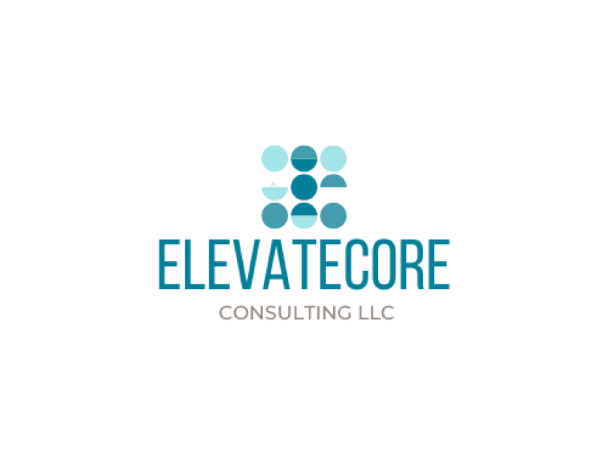 ElevateCore Organizational Diagnostic