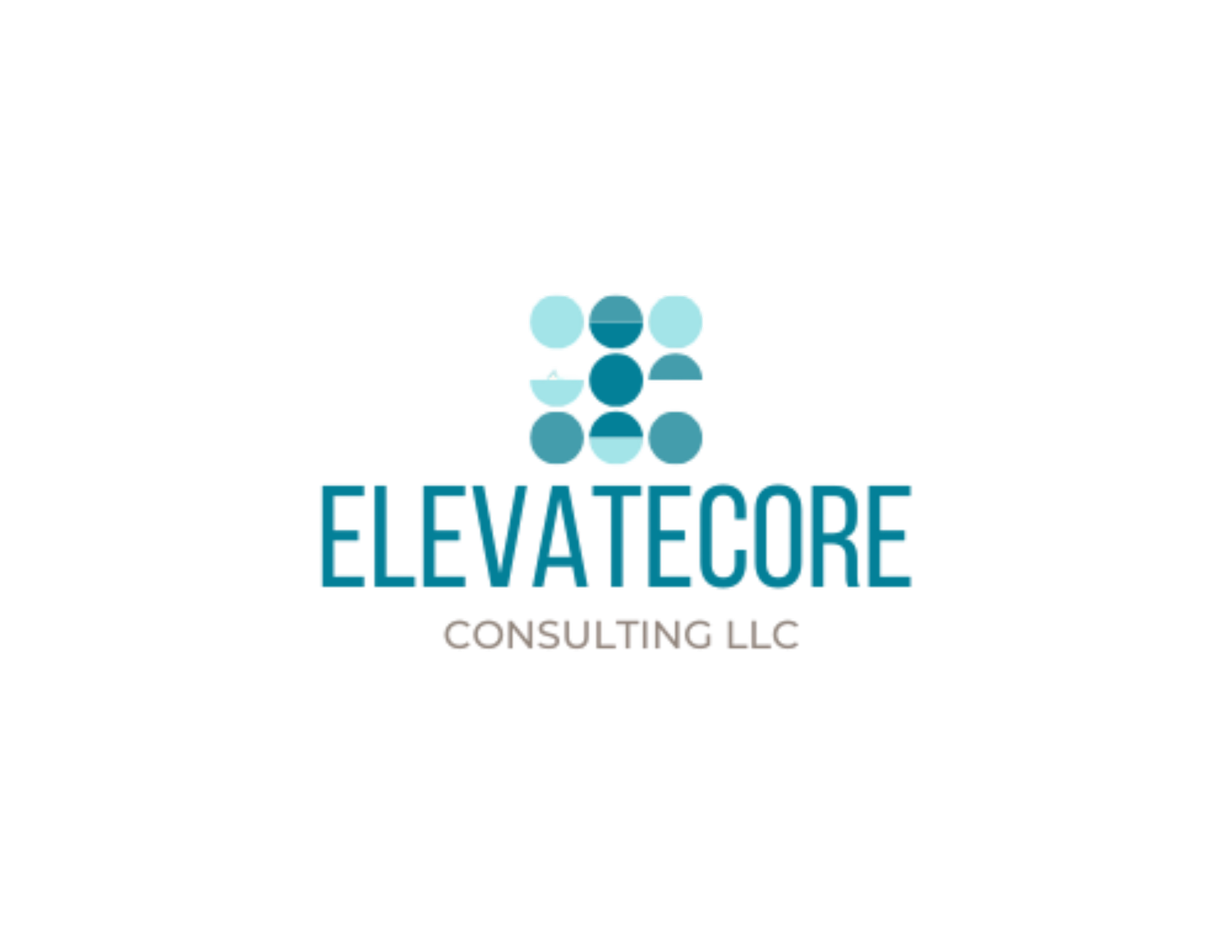 ElevateCore Consulting LLC