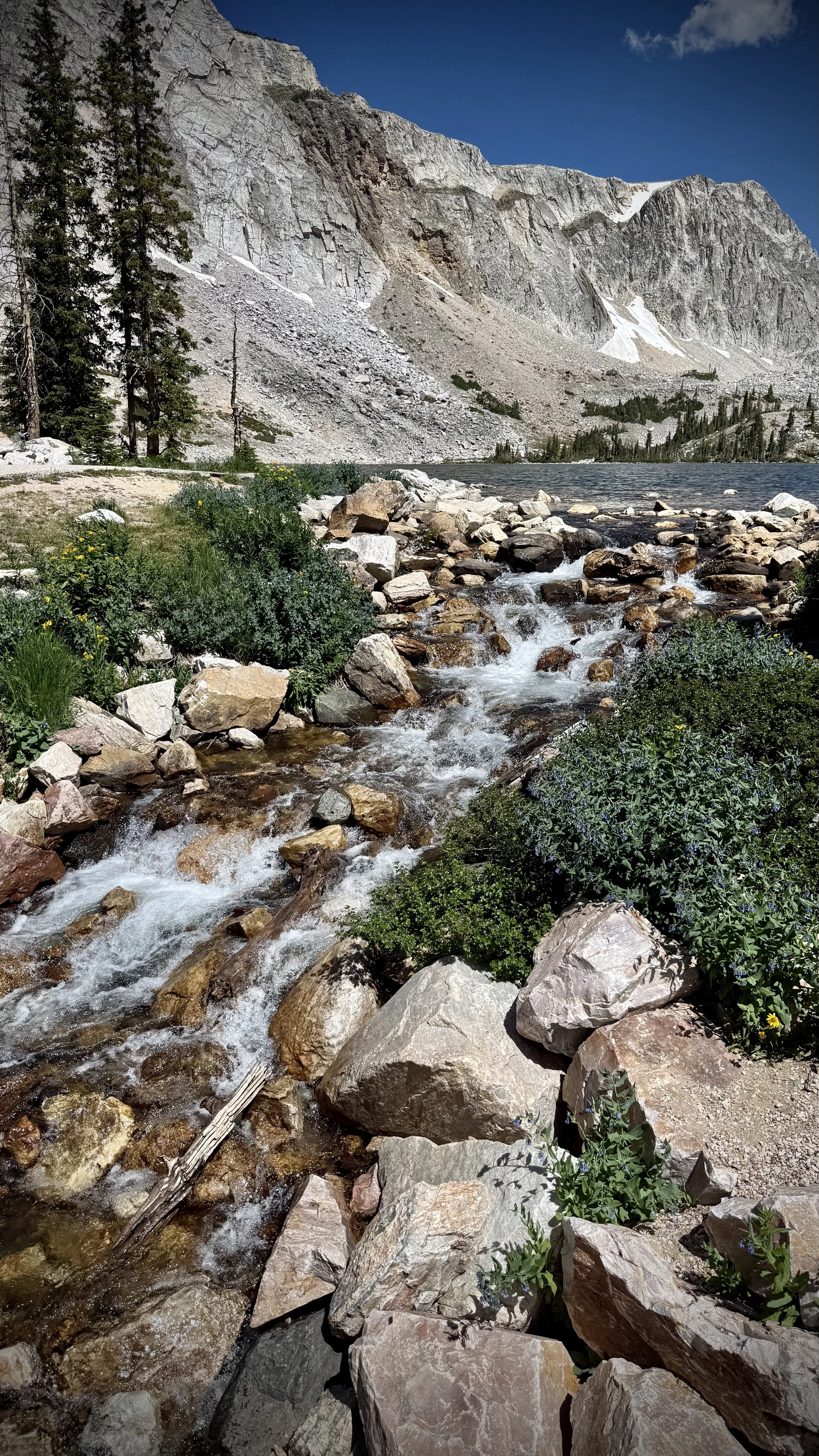 IMG_0241.jpeg