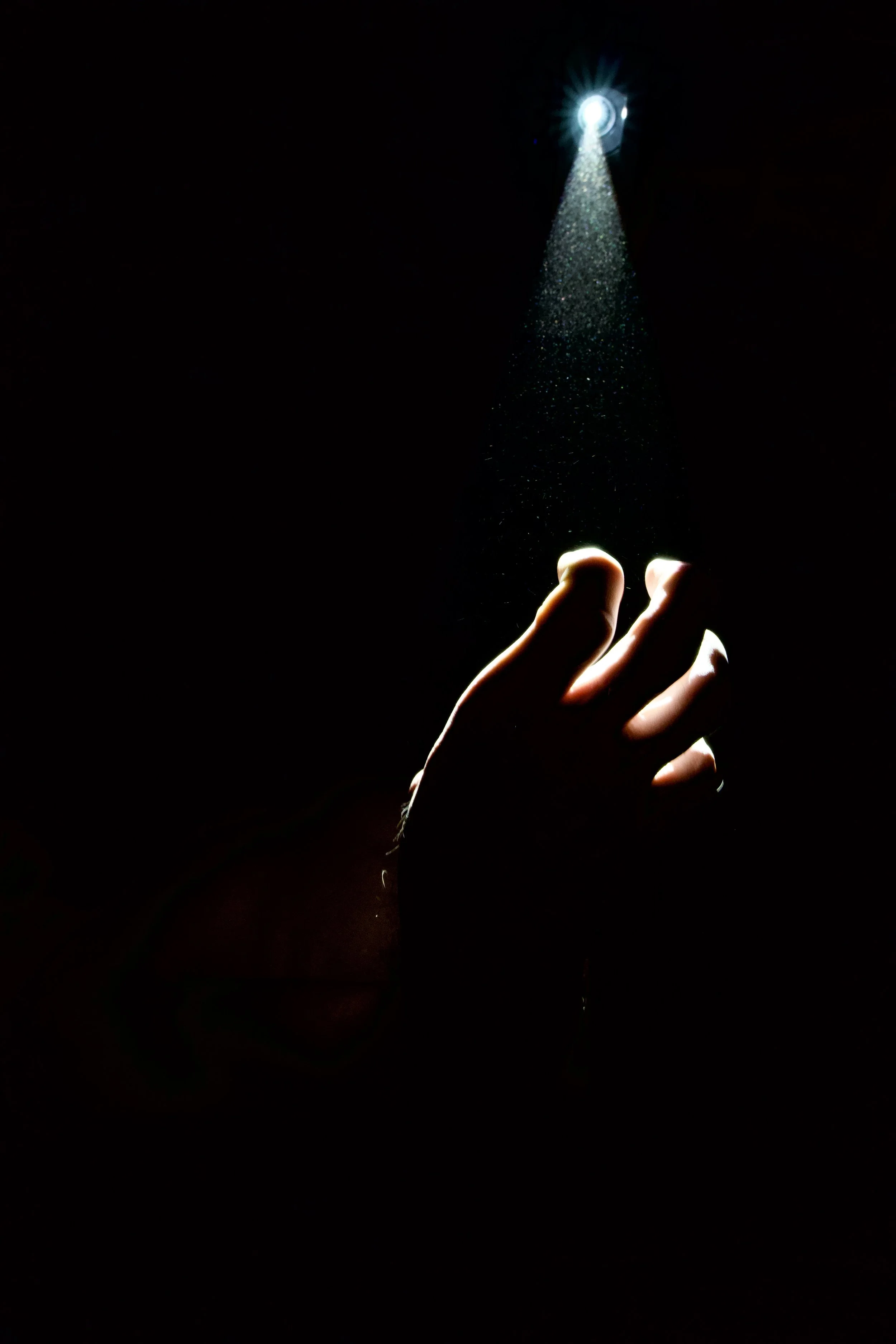 DSC08347.jpeg