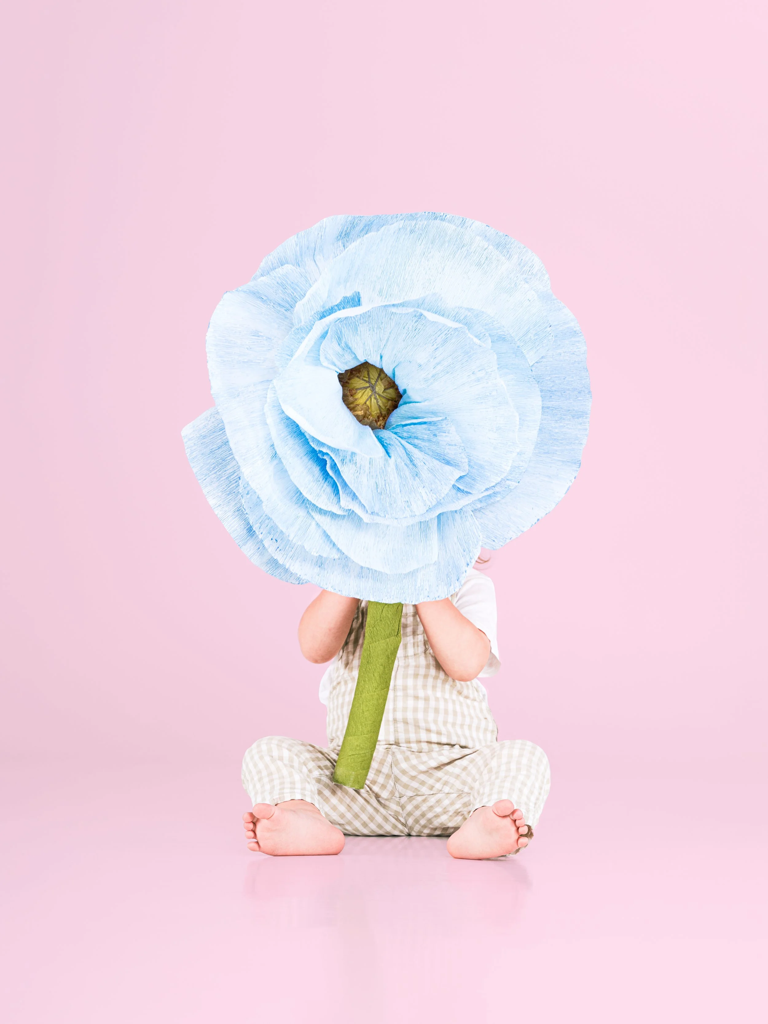 Bloom & Wonder -main image ©Teemu Paukamainen.jpg
