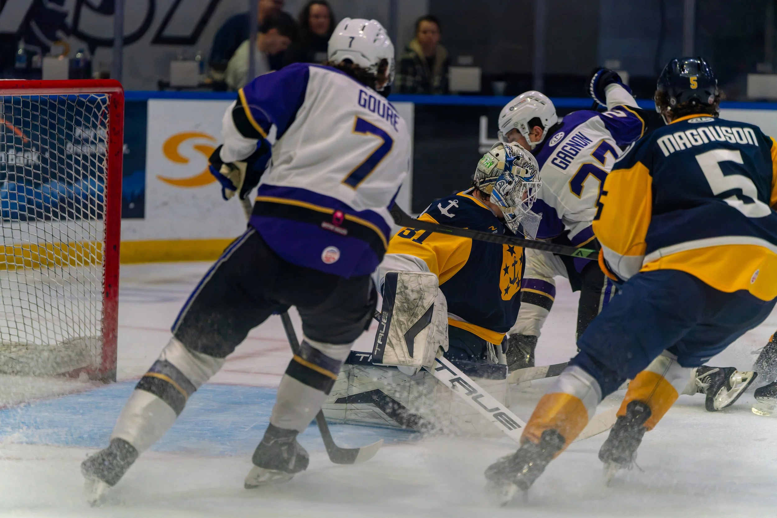 DSC07697-DxO_DeepPRIME 3.jpg