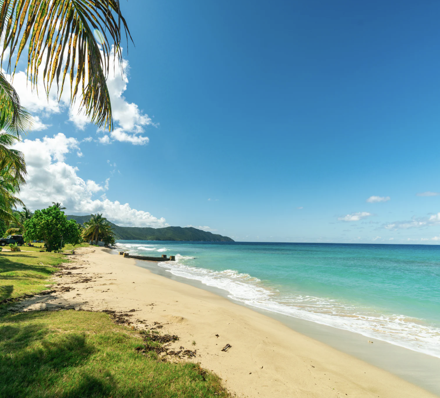 Screenshot 2025-10-30 at 2.56.12 PM.png