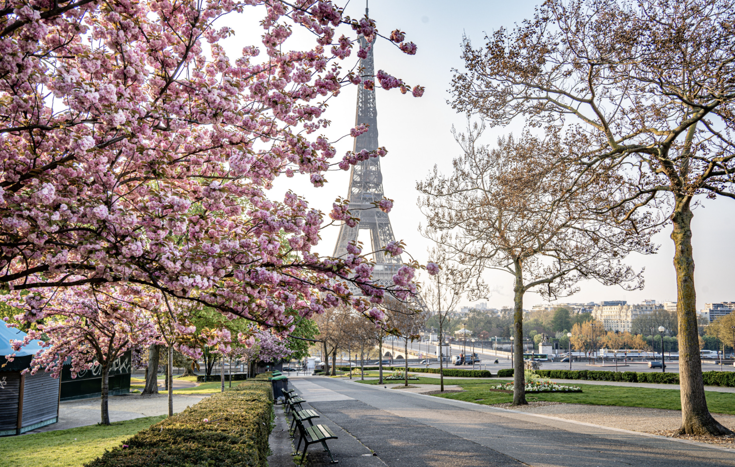 Paris in the Spring: The Perfect 5-Night Itinerary with Giverny, Versailles &amp; Beyond