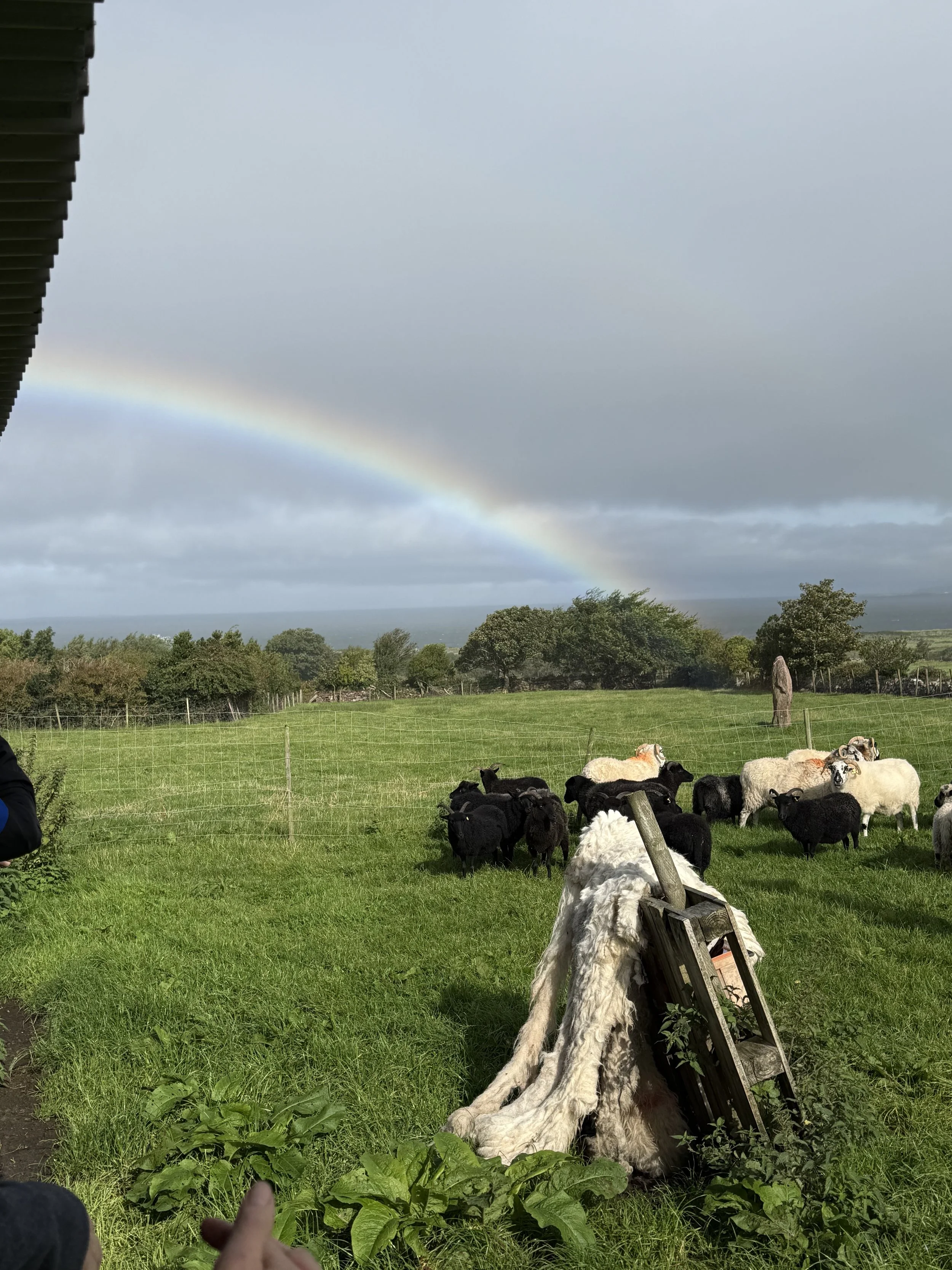 Ireland: Beyond the Tourist Trail