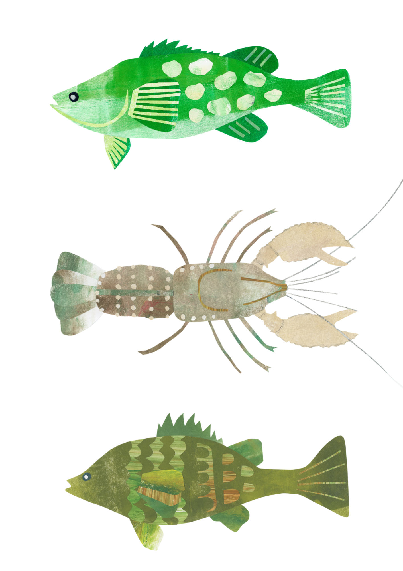 Murray Waters - A4 Standard Print