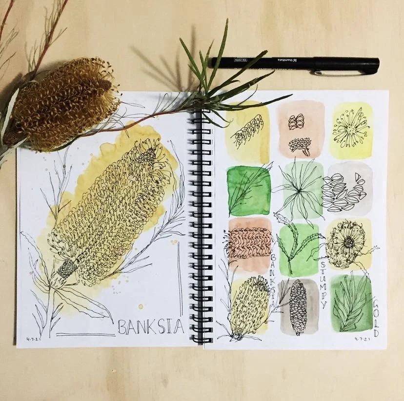 Nature Journaling