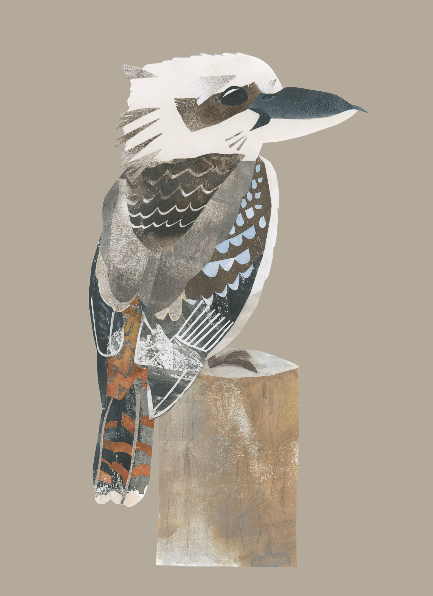 Kookaburra - A4 Standard Print