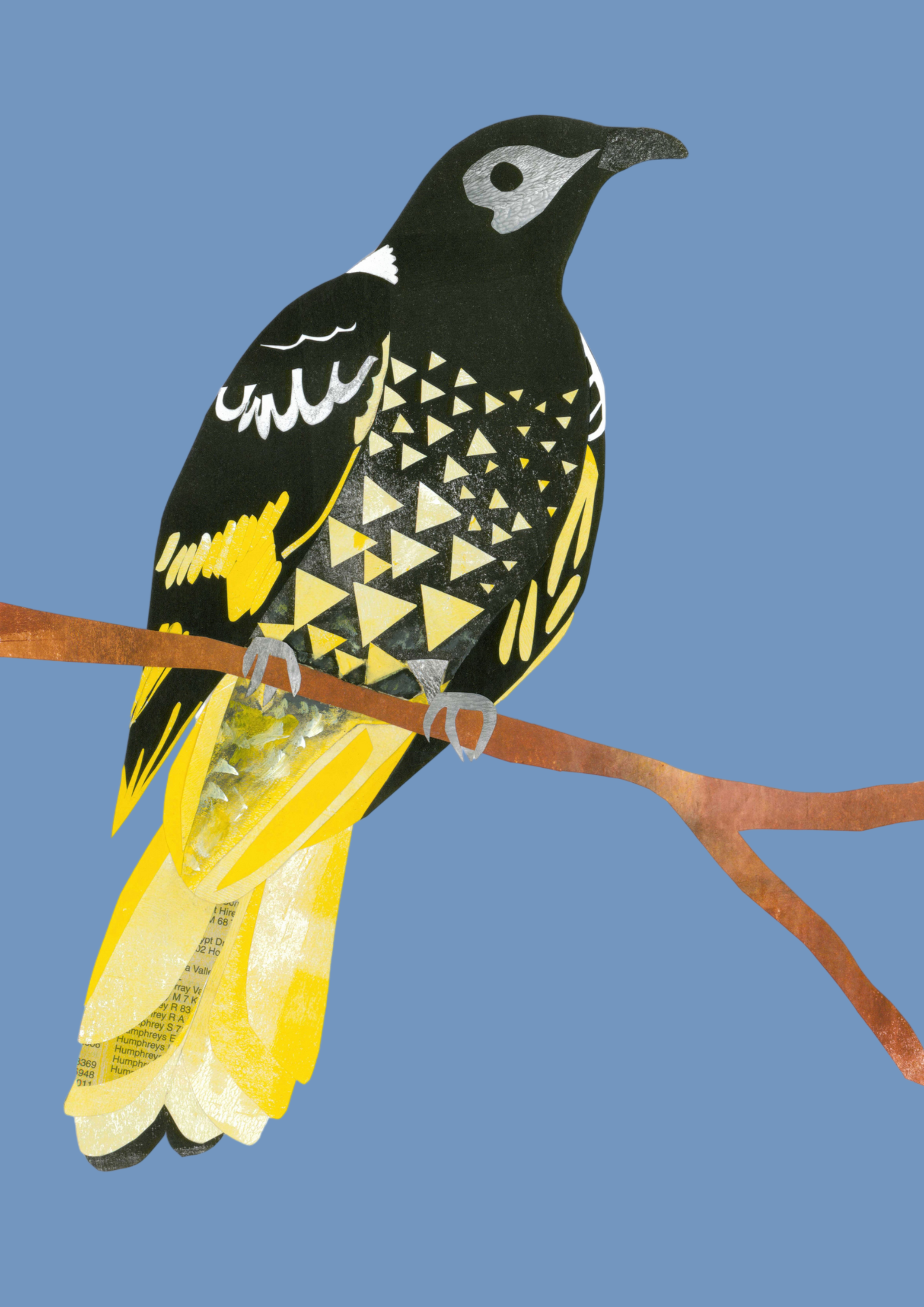 Regent Honeyeater - A4 Standard Print