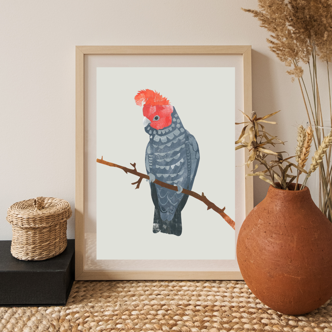 Gang-Gang Cockatoo.png