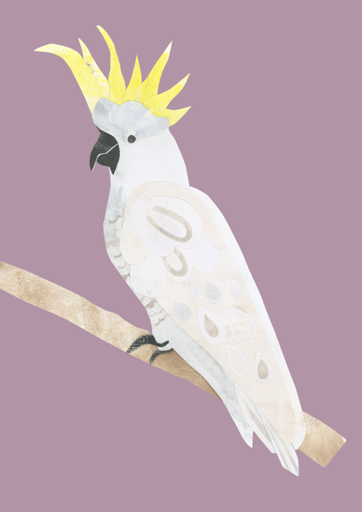Sulphur-Crested Cockatoo - A4 Standard Print