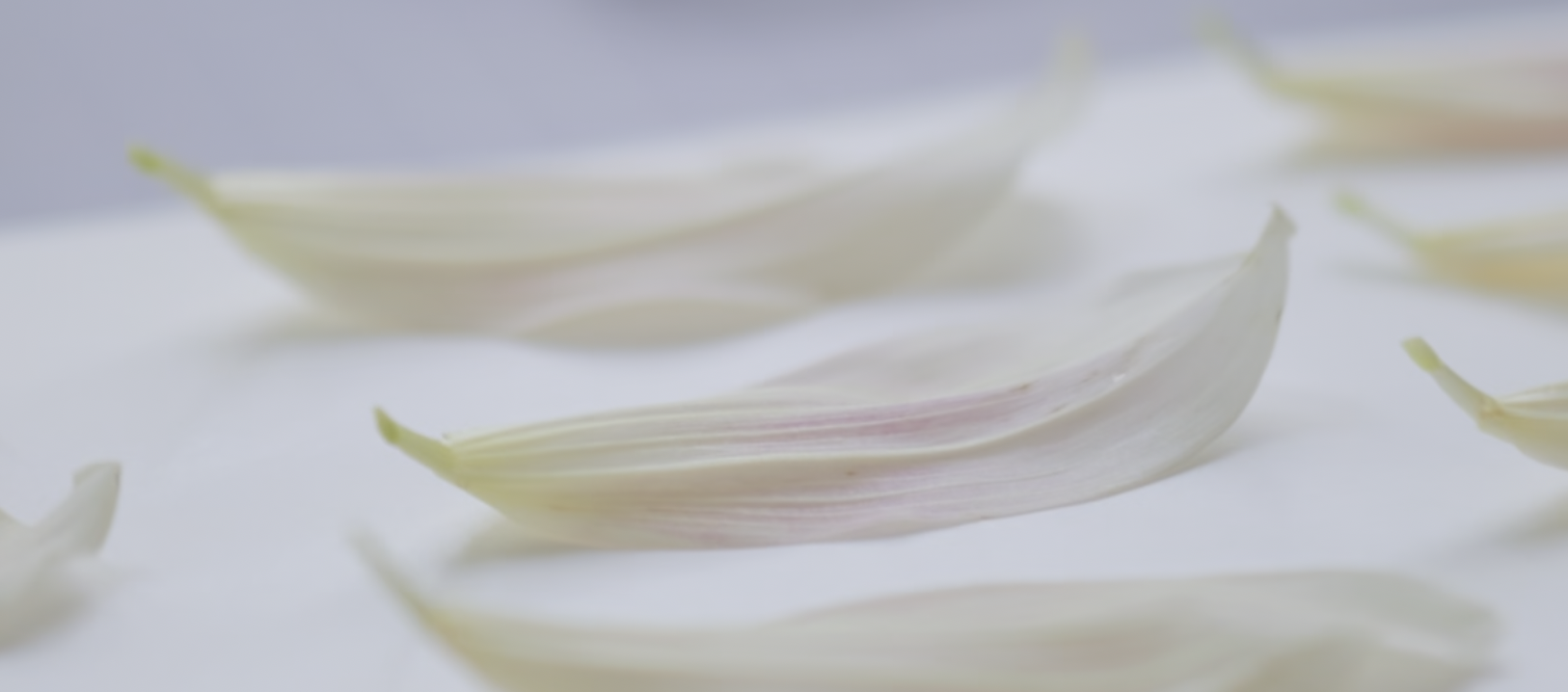 Screenshot 2026-01-08 at 3.55.12 PM.png