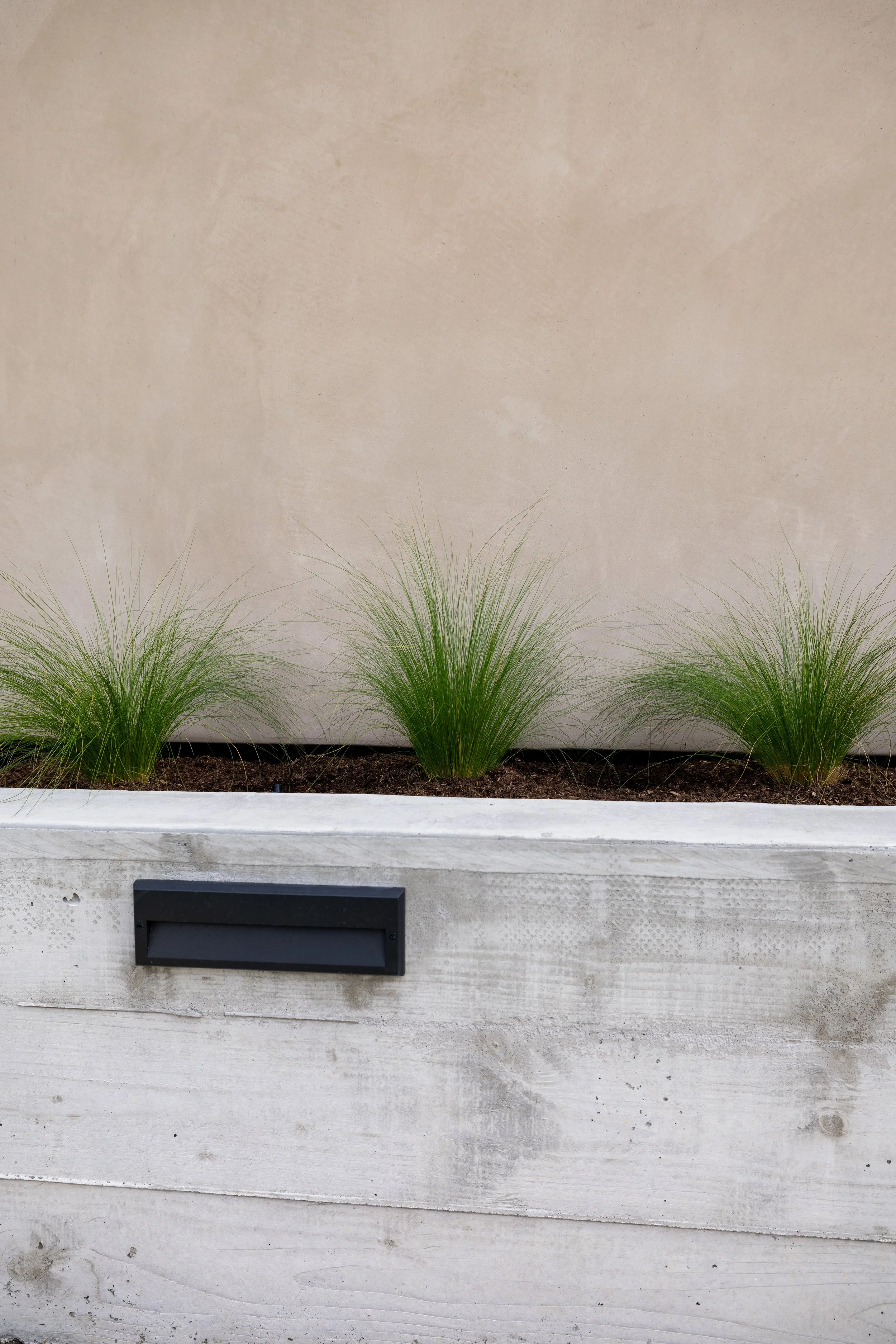 Mexican feather grass in modern concrete planter with black landscape lighting