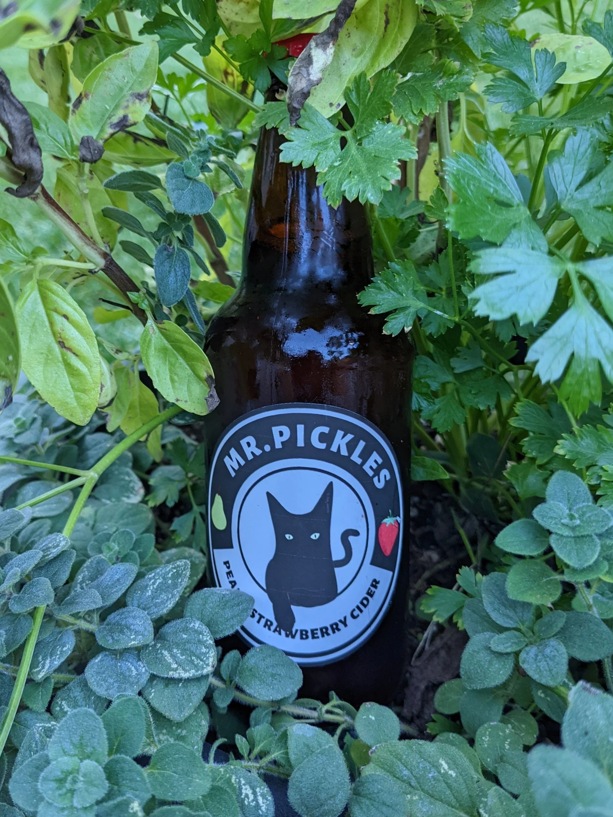 Mr.Pickles Pear And Strawberry Cider