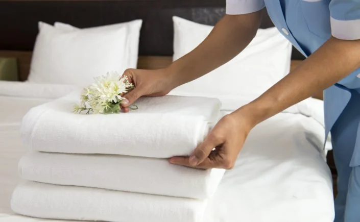 DuVoice Room Status Interface