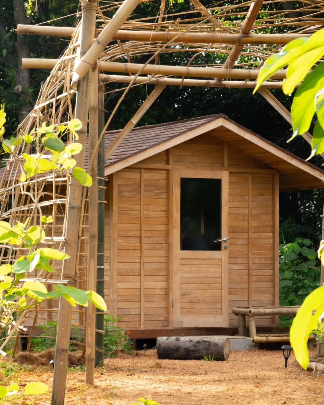 Everything here is built with the bees in mind, come visit BuzzHut and feel it yourself!

#wellness #honeybees #healing