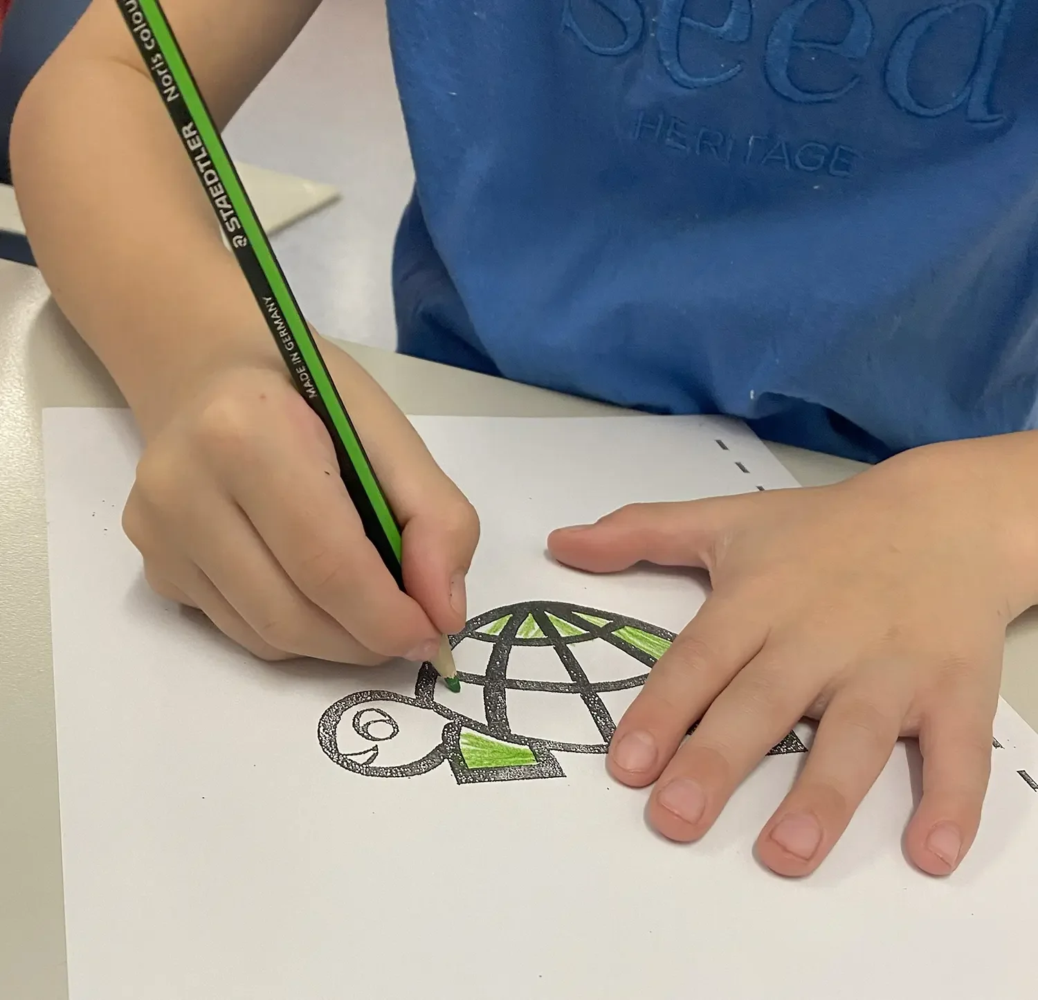 Child coloring a drawing of a turtle with a green and black crayon at a desk.